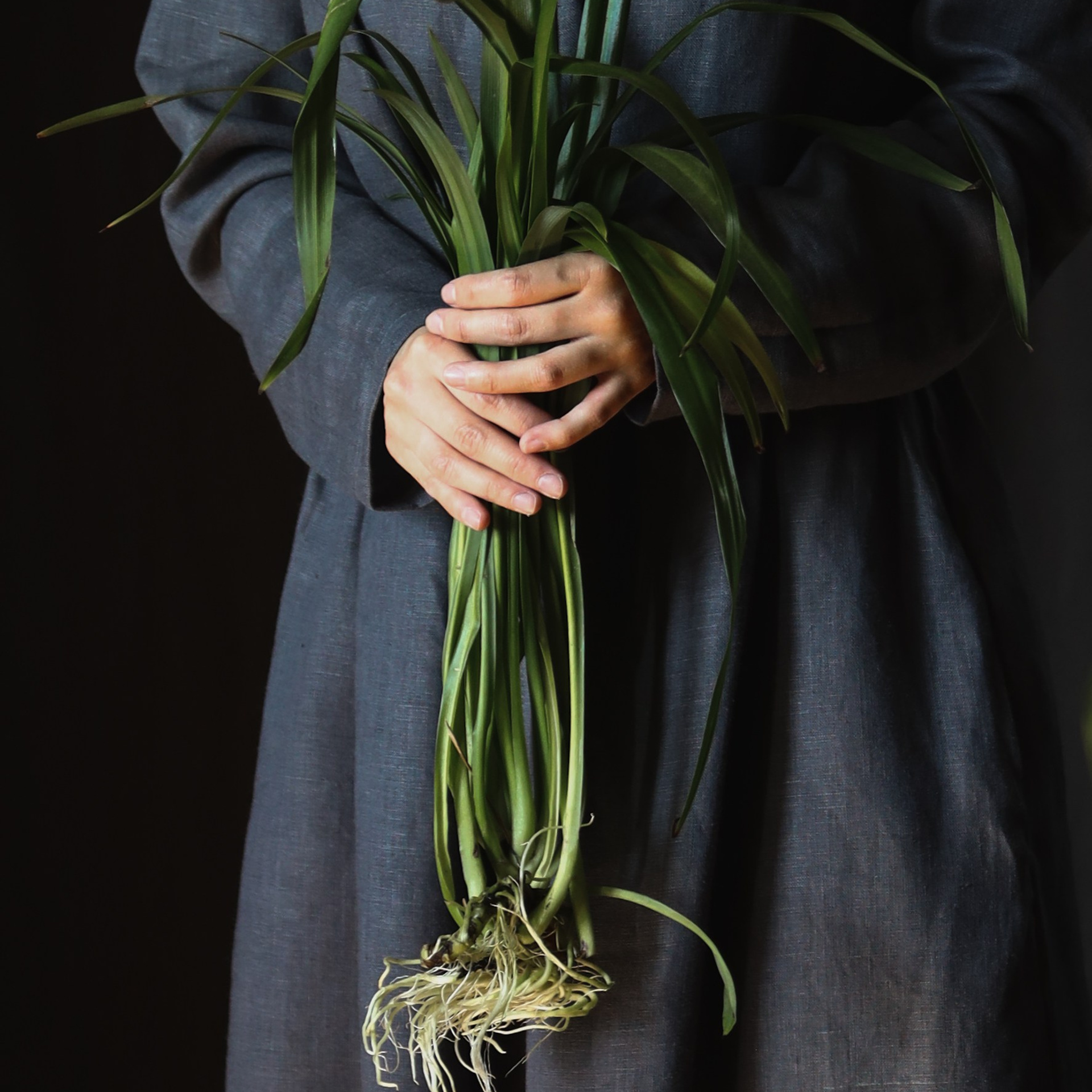 Моя Травология