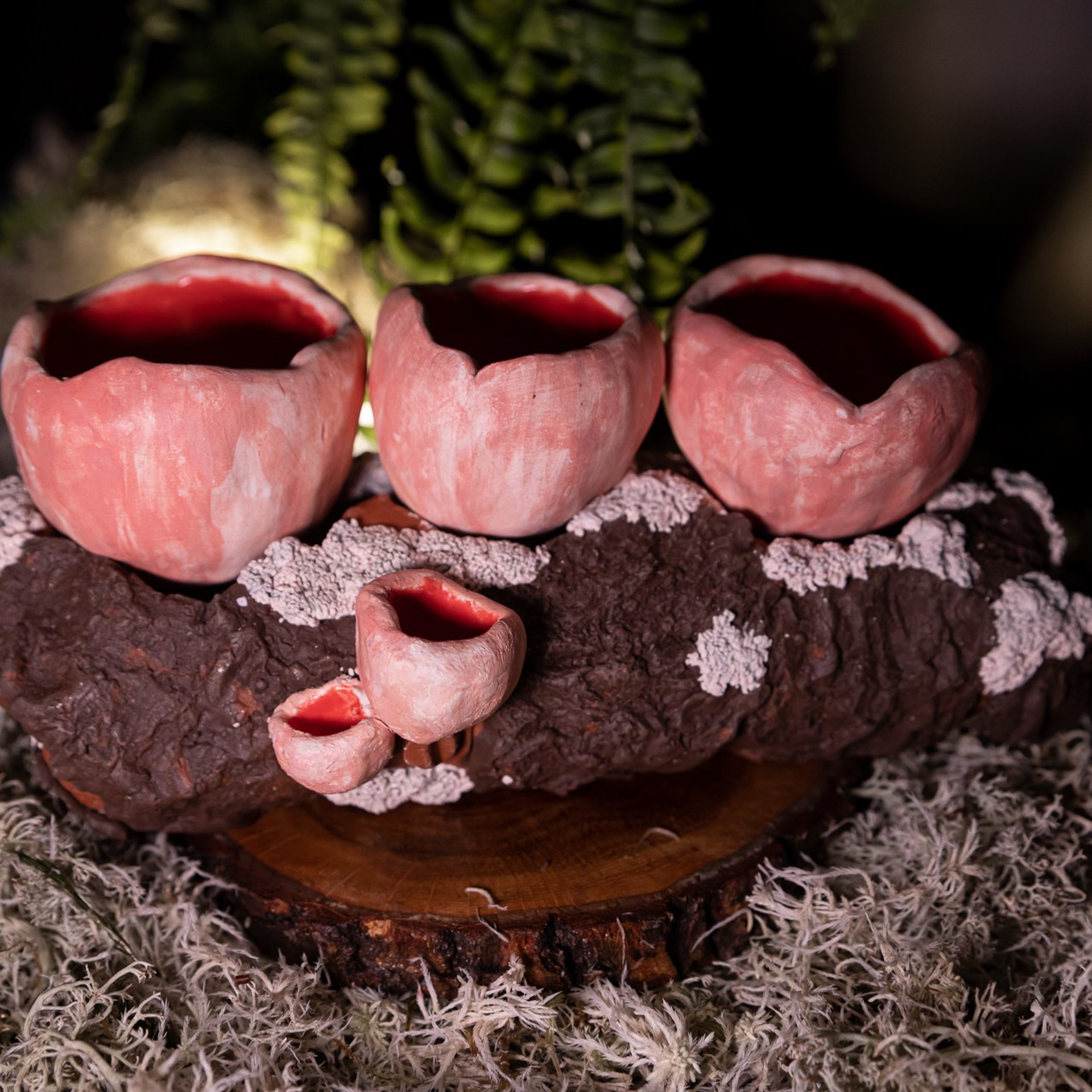 Набор «Саркосцифы» НЕТ В НАЛИЧИИ