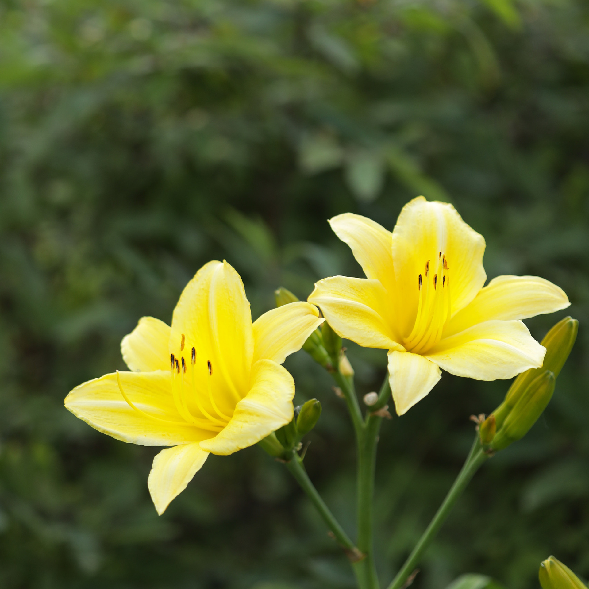 Отзывы. Бочарова Мария — школьный фотограф Апрелевка, Новая Москва, Московская область