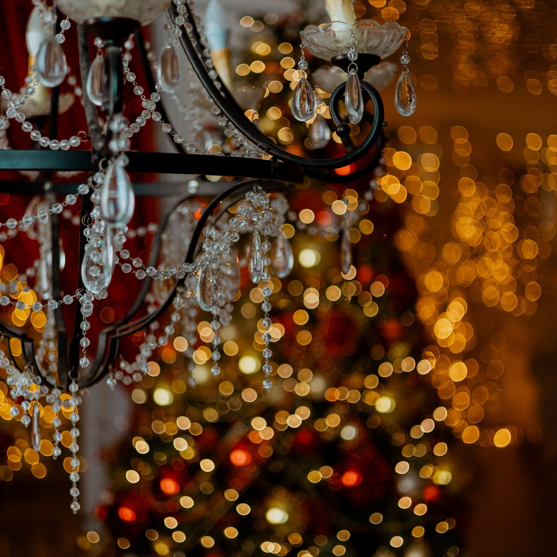 Отзывы. Фотограф Александра Маркова. Портретная и креативная съемка