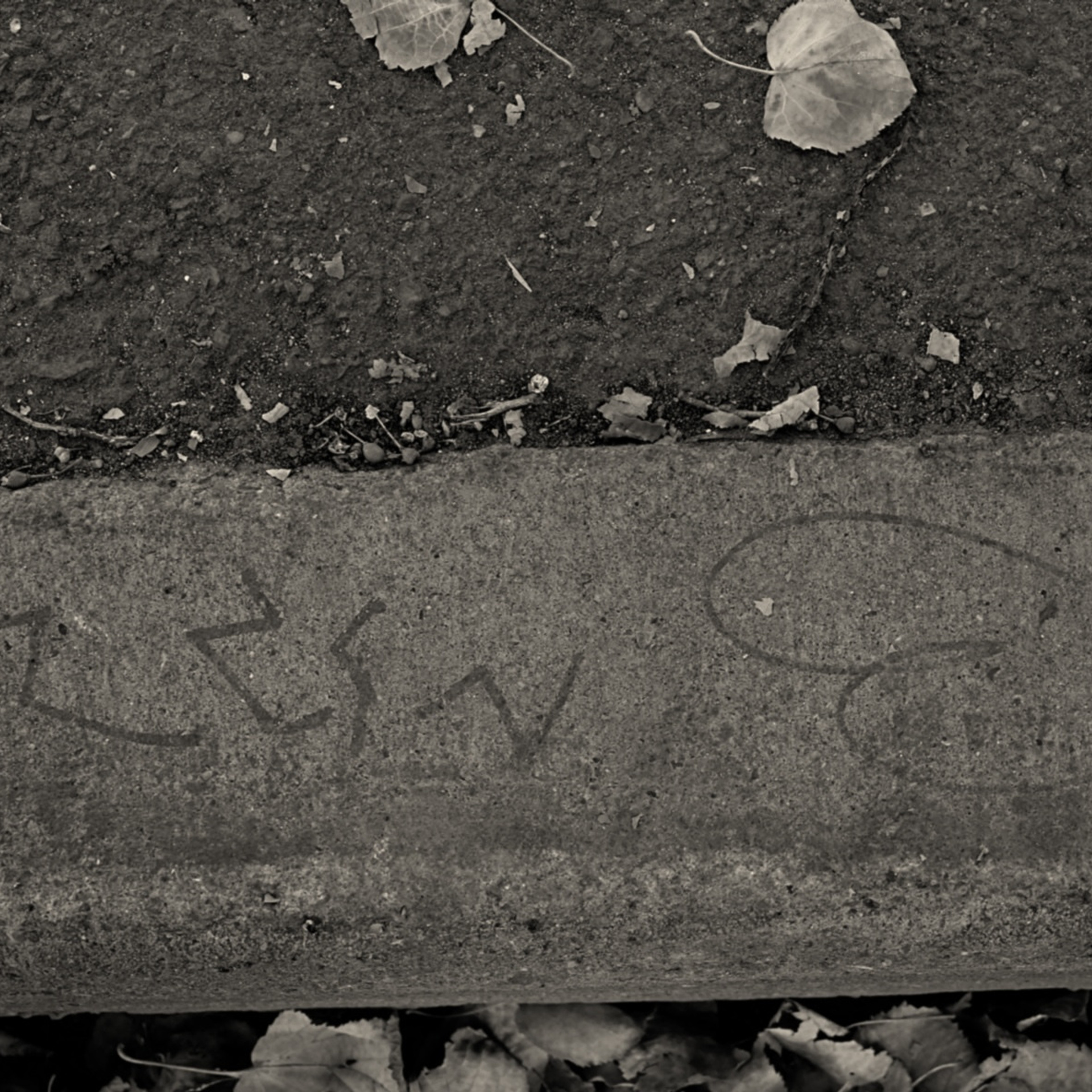 Ilsiyar. Главная