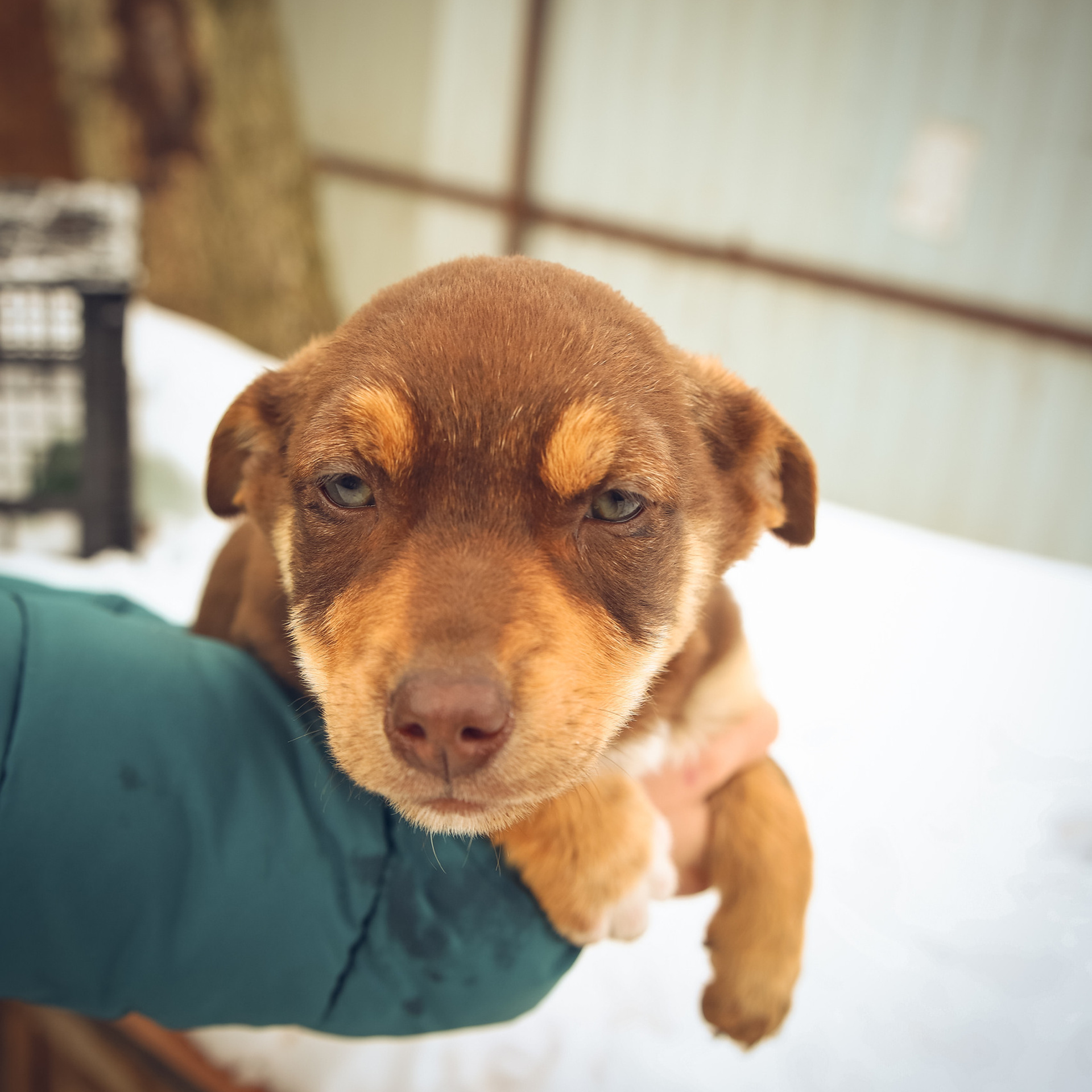 Отзывы. Самый Добрый Фотограф Краснодара