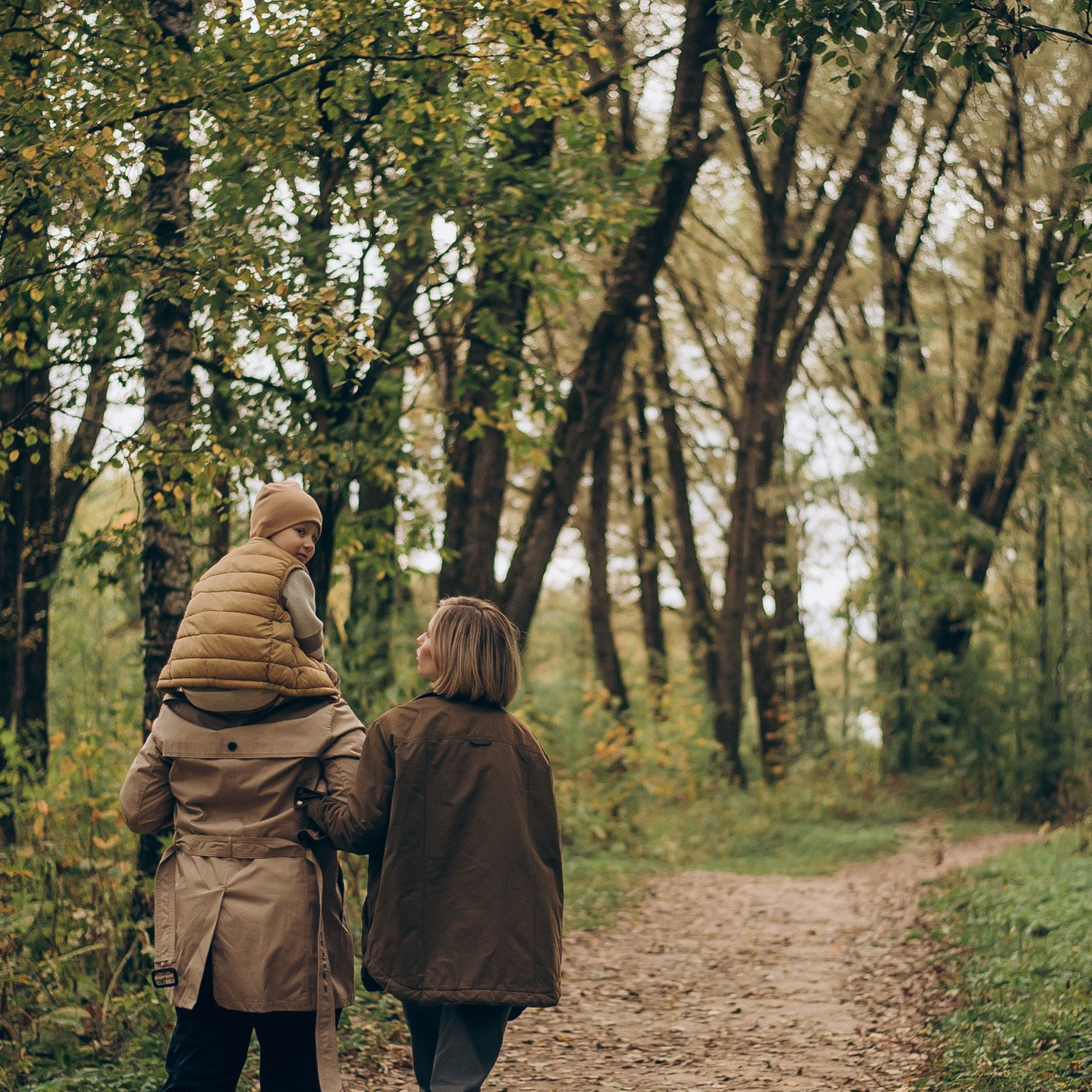 Миша, Илья и Алена