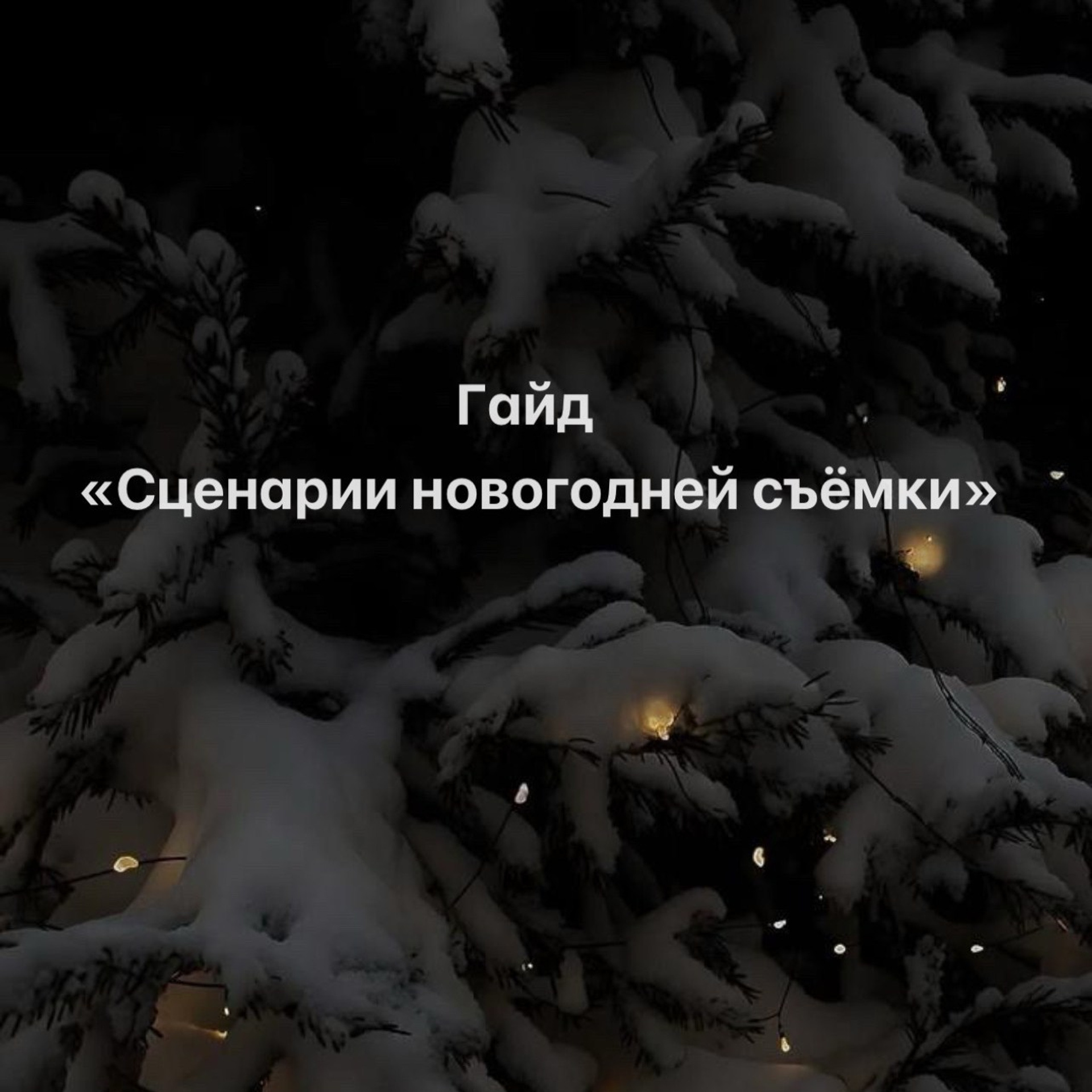 Гайд «Сценарии новогодней съёмки». Фотограф в Одинцово, Москве