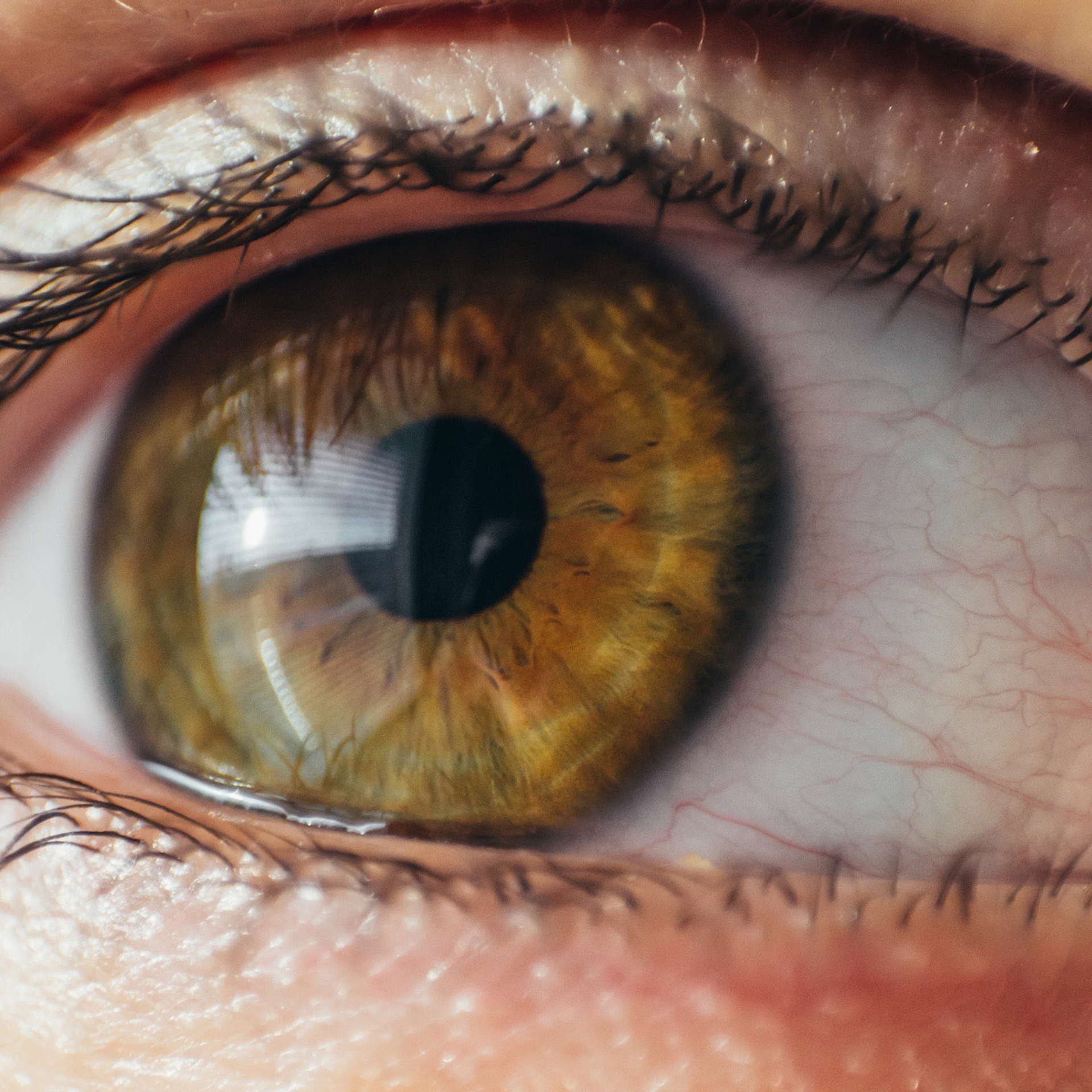 My students. Evgeny Pelevin. Photographer. Industry, reporting, weddings, portrait