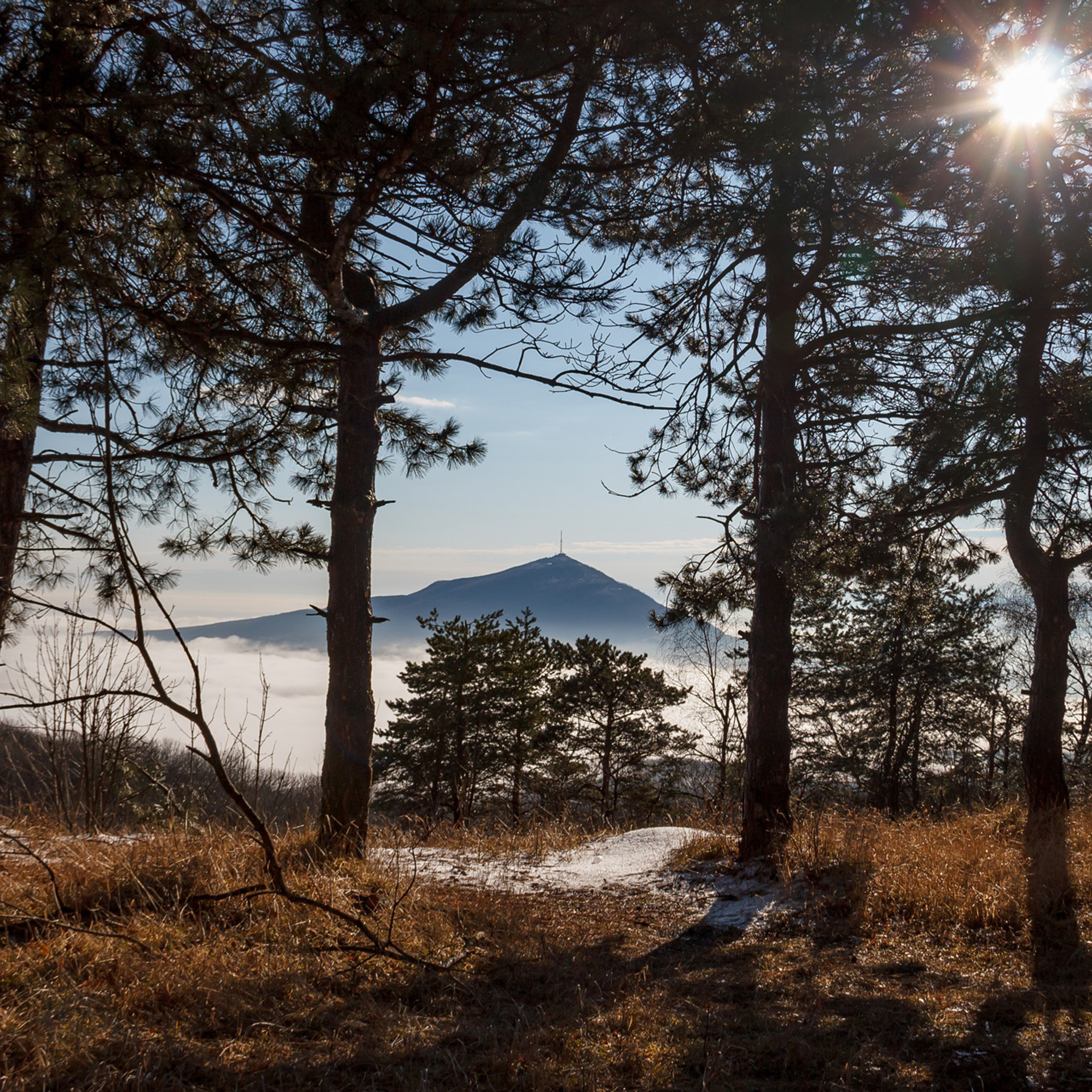 My students. Evgeny Pelevin. Photographer. Industry, reporting, weddings, portrait