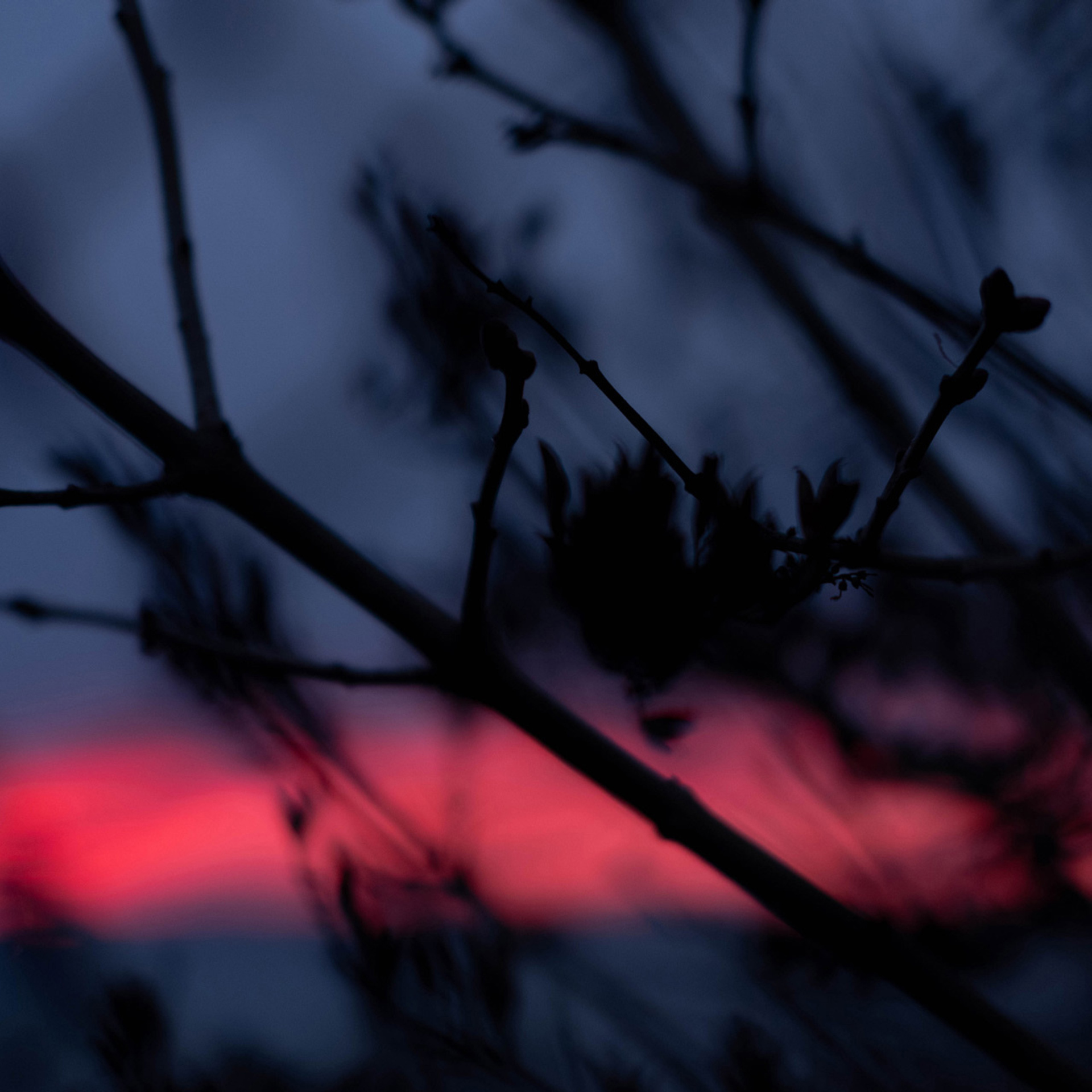 My students. Evgeny Pelevin. Photographer. Industry, reporting, weddings, portrait