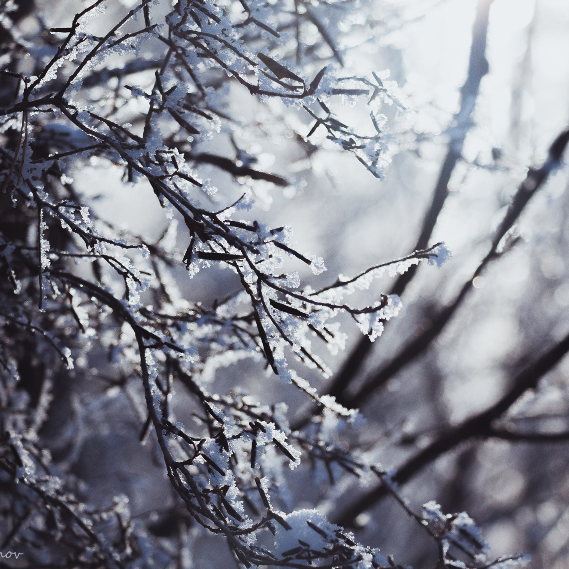 My students. Evgeny Pelevin. Photographer. Industry, reporting, weddings, portrait