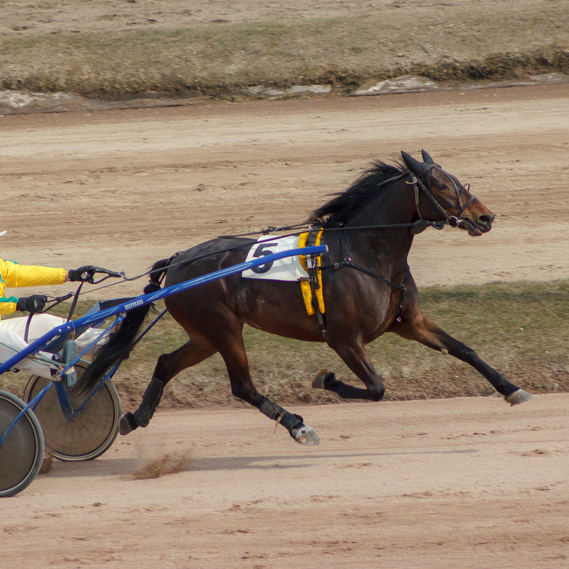 My students. Evgeny Pelevin. Photographer. Industry, reporting, weddings, portrait