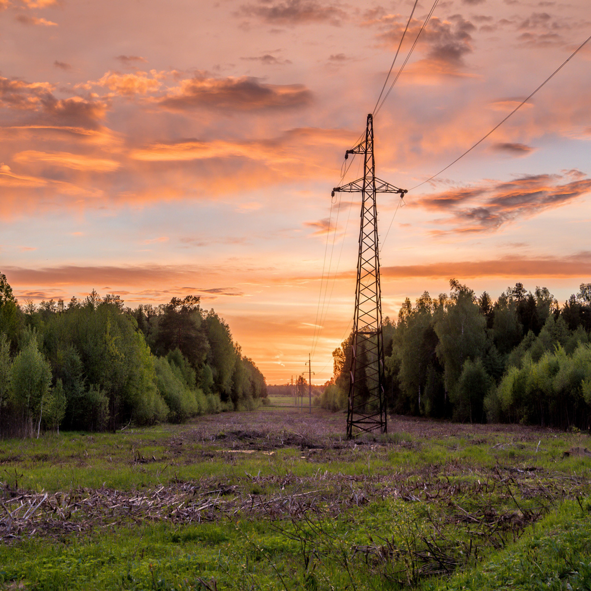 My students. Evgeny Pelevin. Photographer. Industry, reporting, weddings, portrait