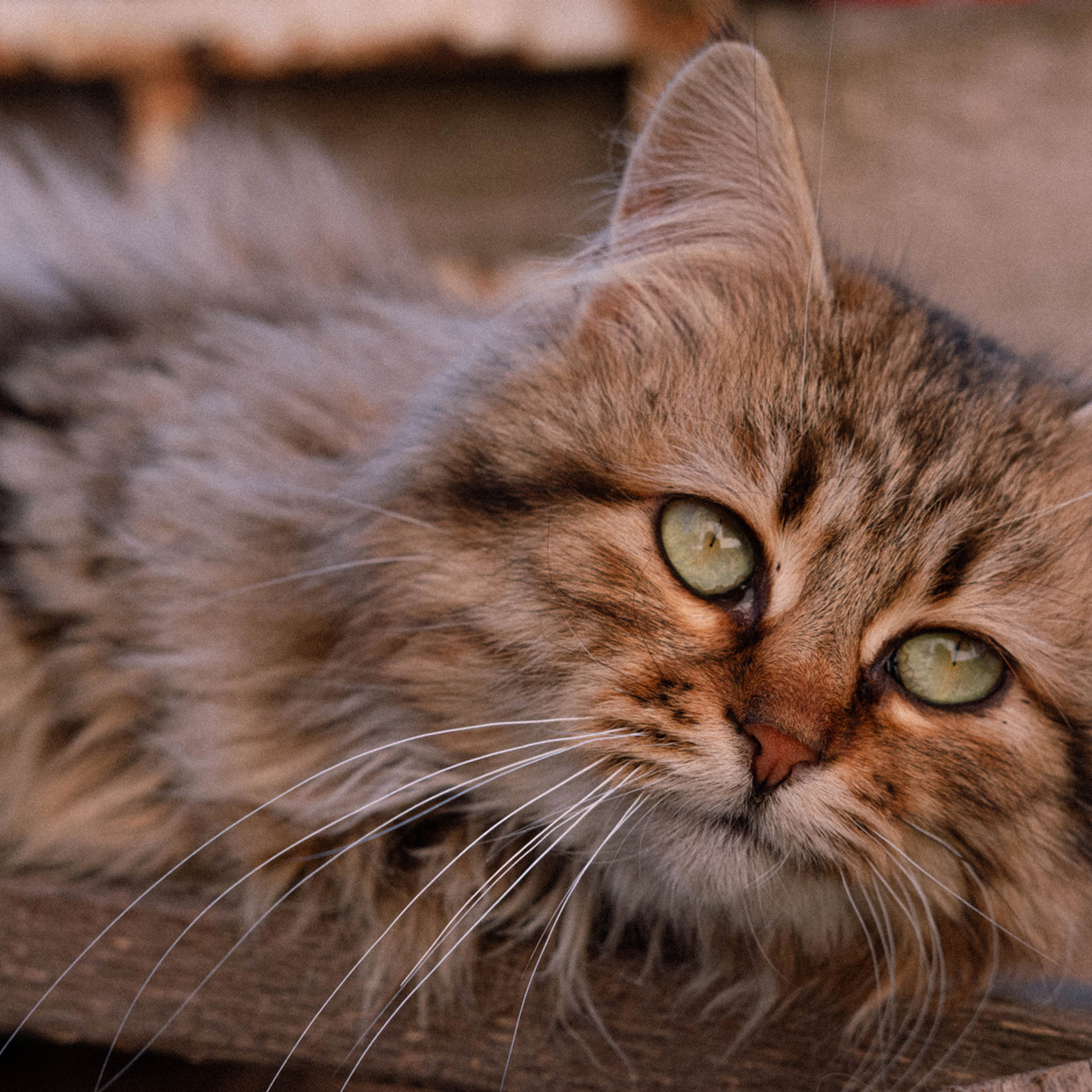 My students. Evgeny Pelevin. Photographer. Industry, reporting, weddings, portrait