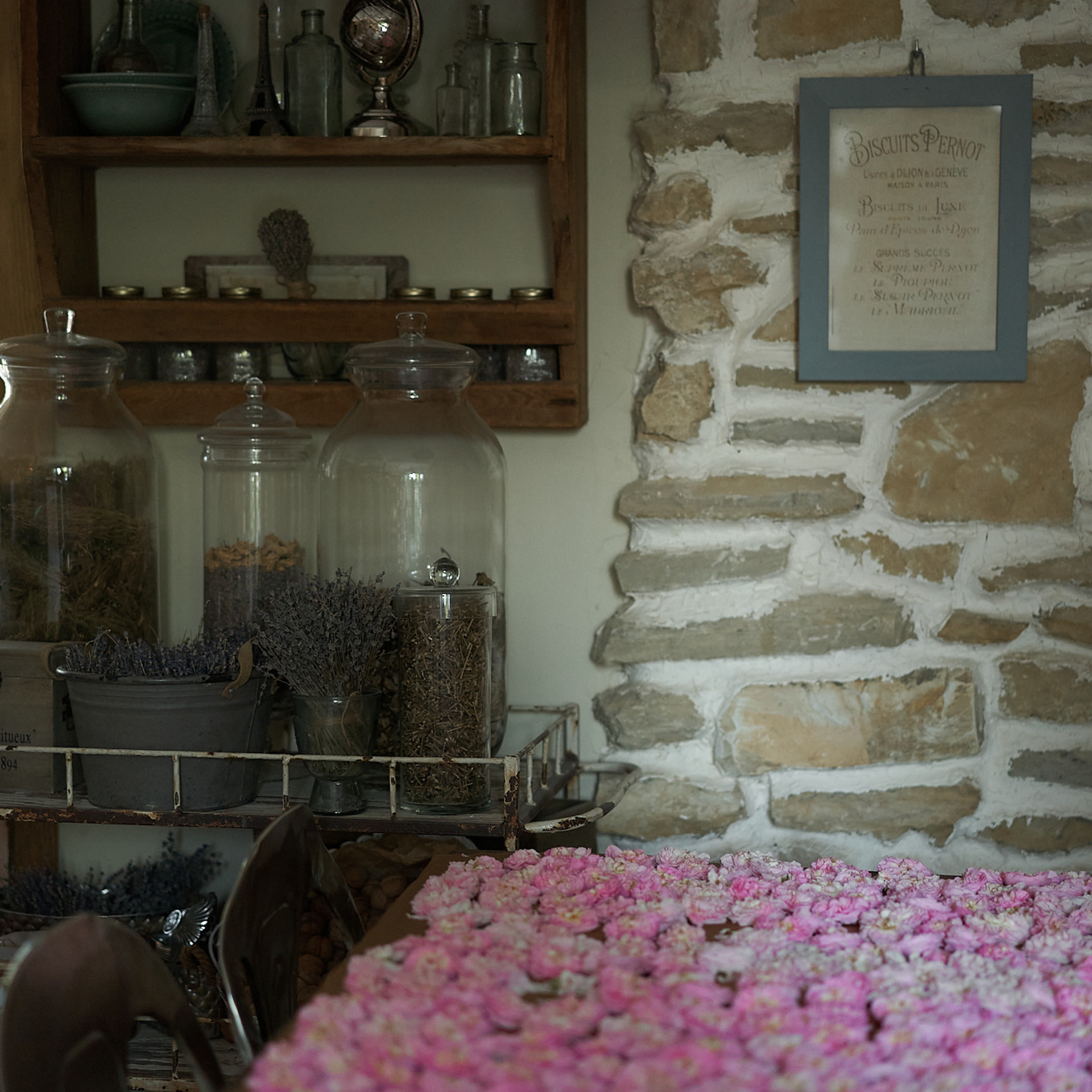 Отзывы. Фотограф в Анапе Надежда Соловьёва