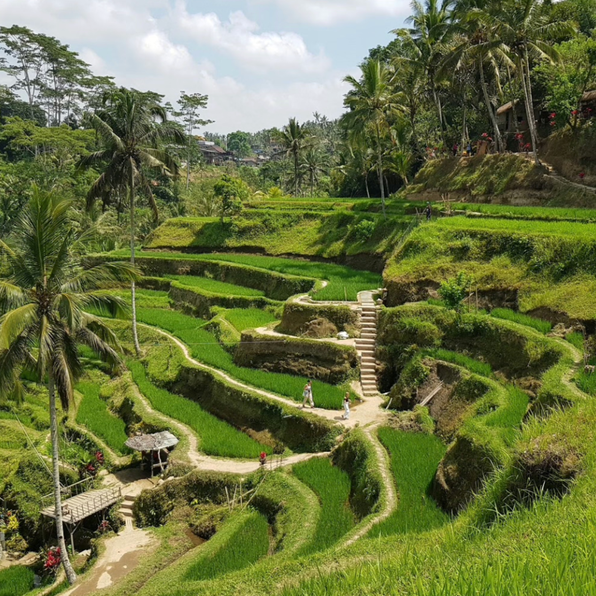 ТУР НА БАЛИ. INNERBLOOM TRAVEL-путешествия для авантюристов, мечтателей и настоящих гурманов по России и миру