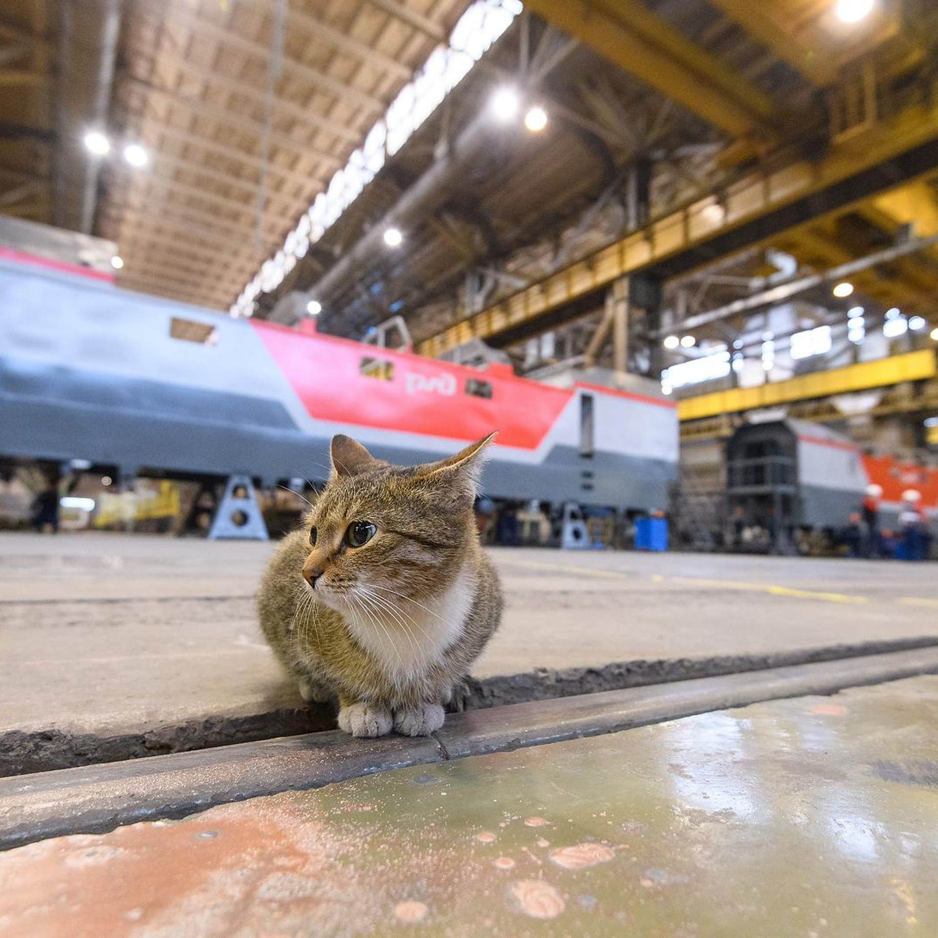СИНАРА. Уральские Локомотивы