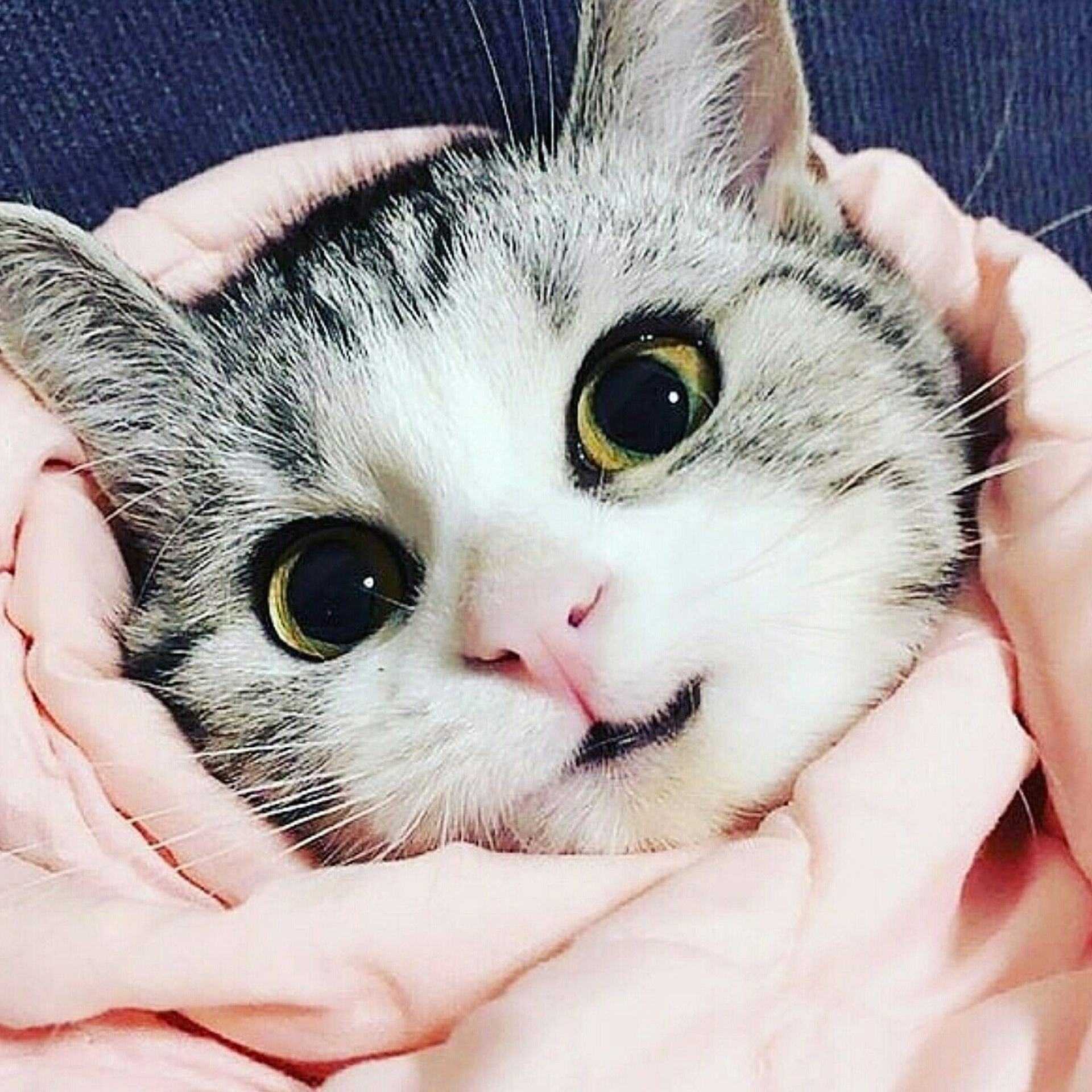 Отзывы о работе фотографа, видеографа. Свадебный фотограф / свадебный видеограф Vladislav Kalina