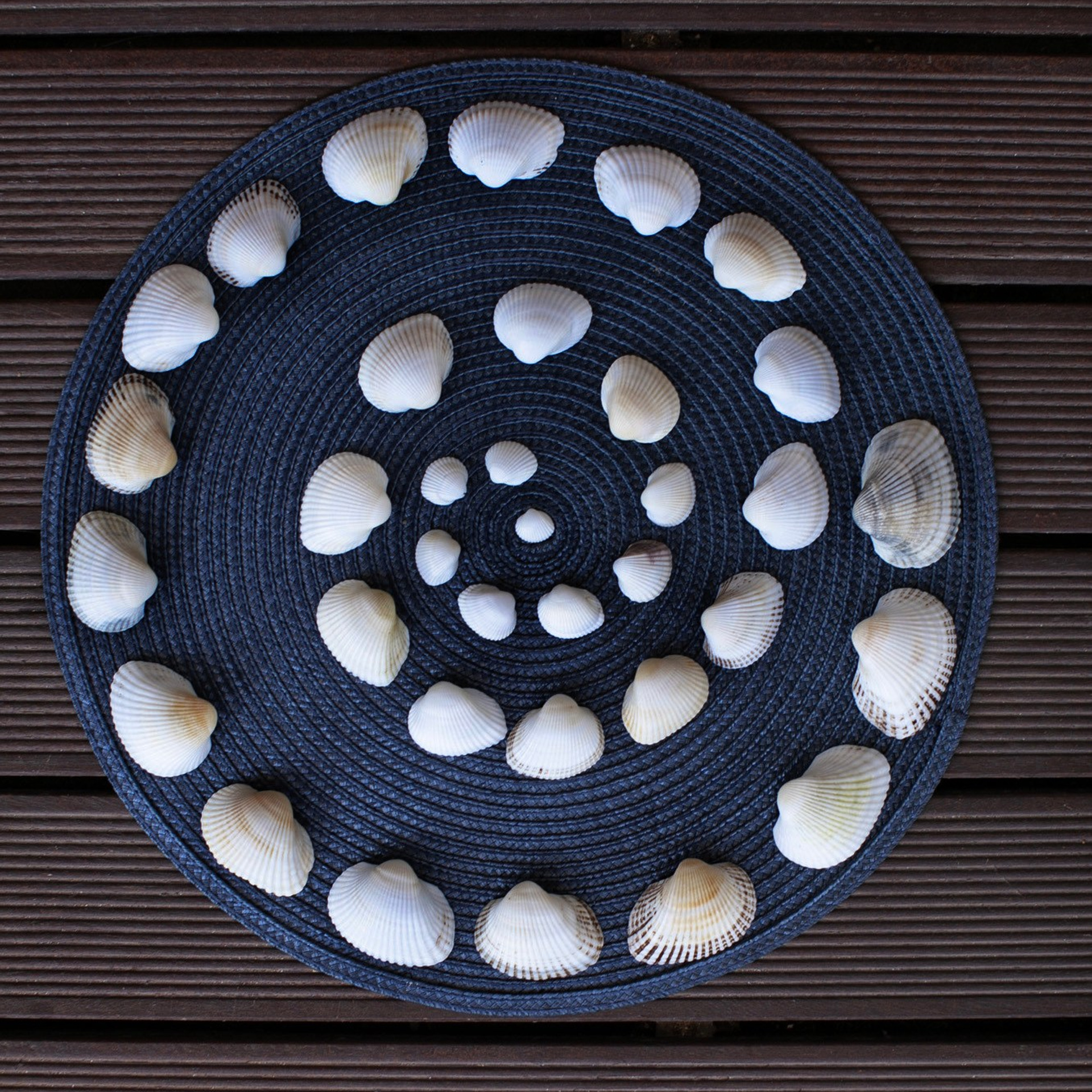 Болгария'25. Фотограф-портретист в Москве