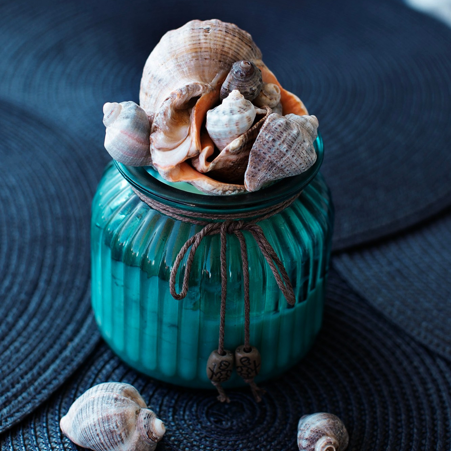 Болгария'25. Фотограф-портретист в Москве