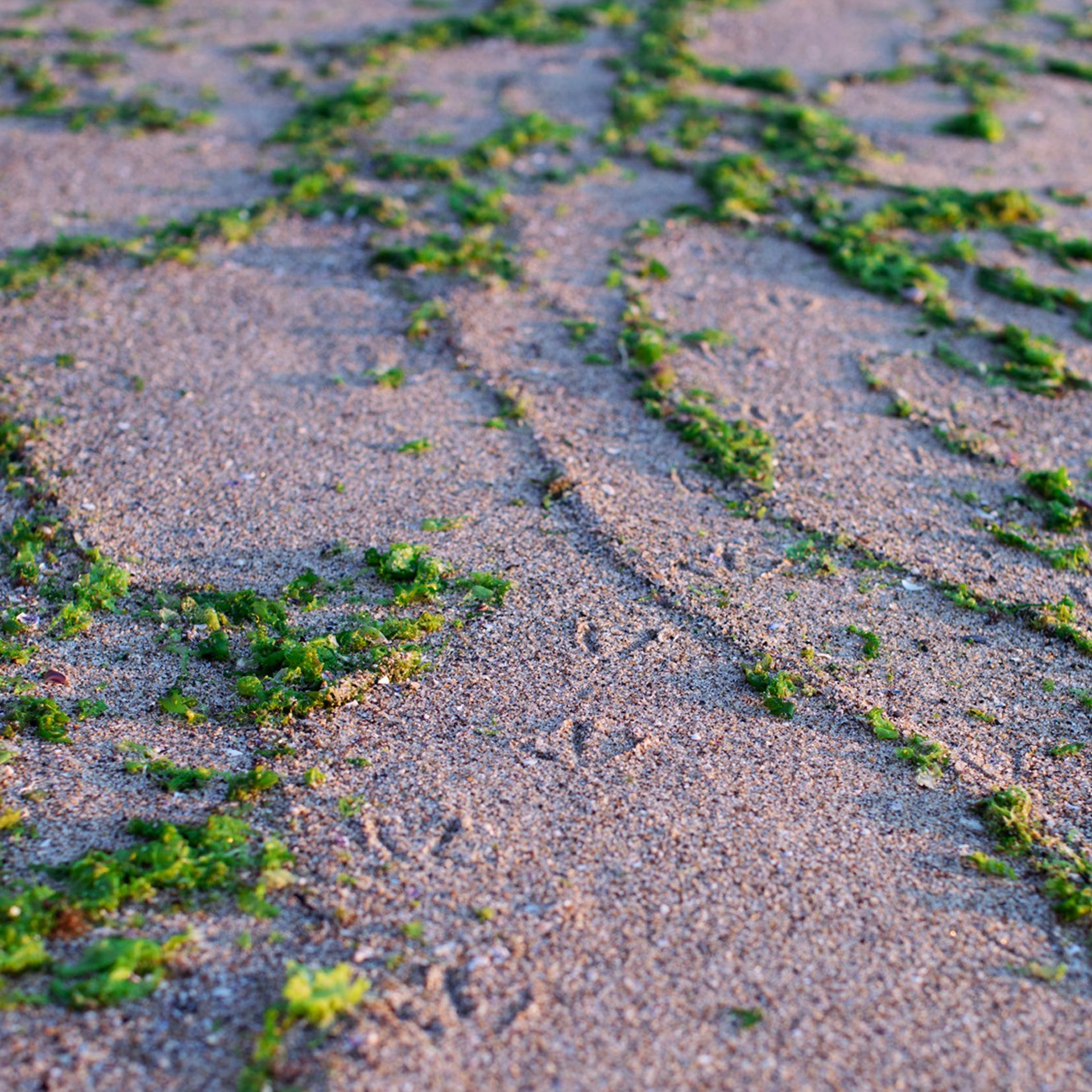 Болгария'25. Фотограф-портретист в Москве