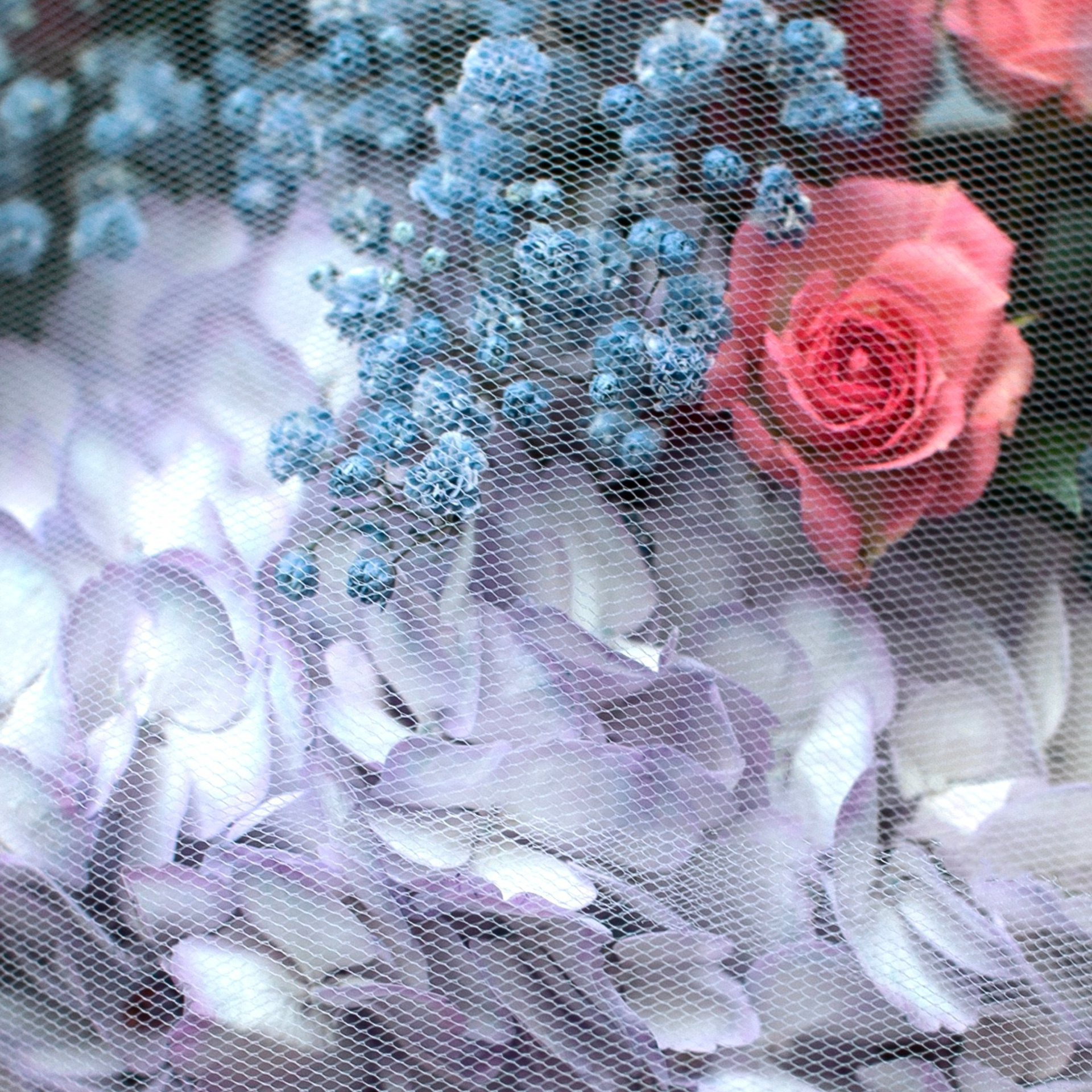 Цветы. Фотограф-портретист в Москве