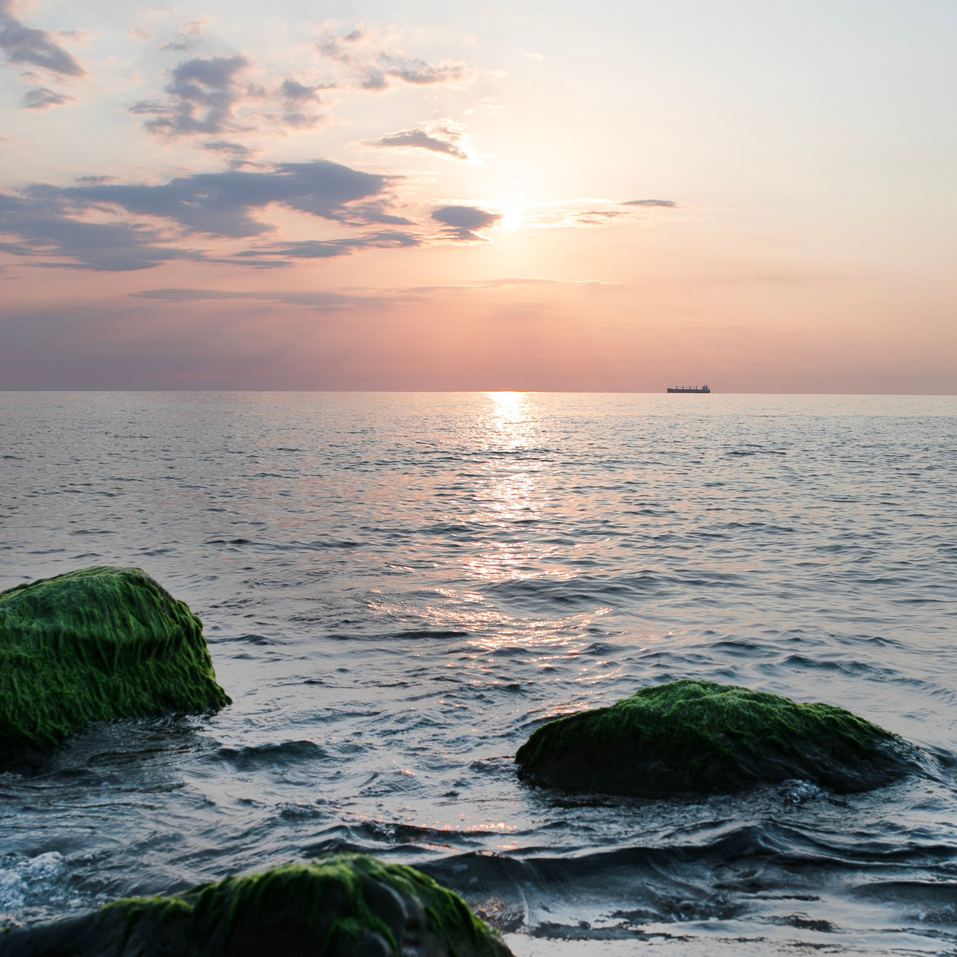 Болгария'24. Фотограф-портретист в Москве