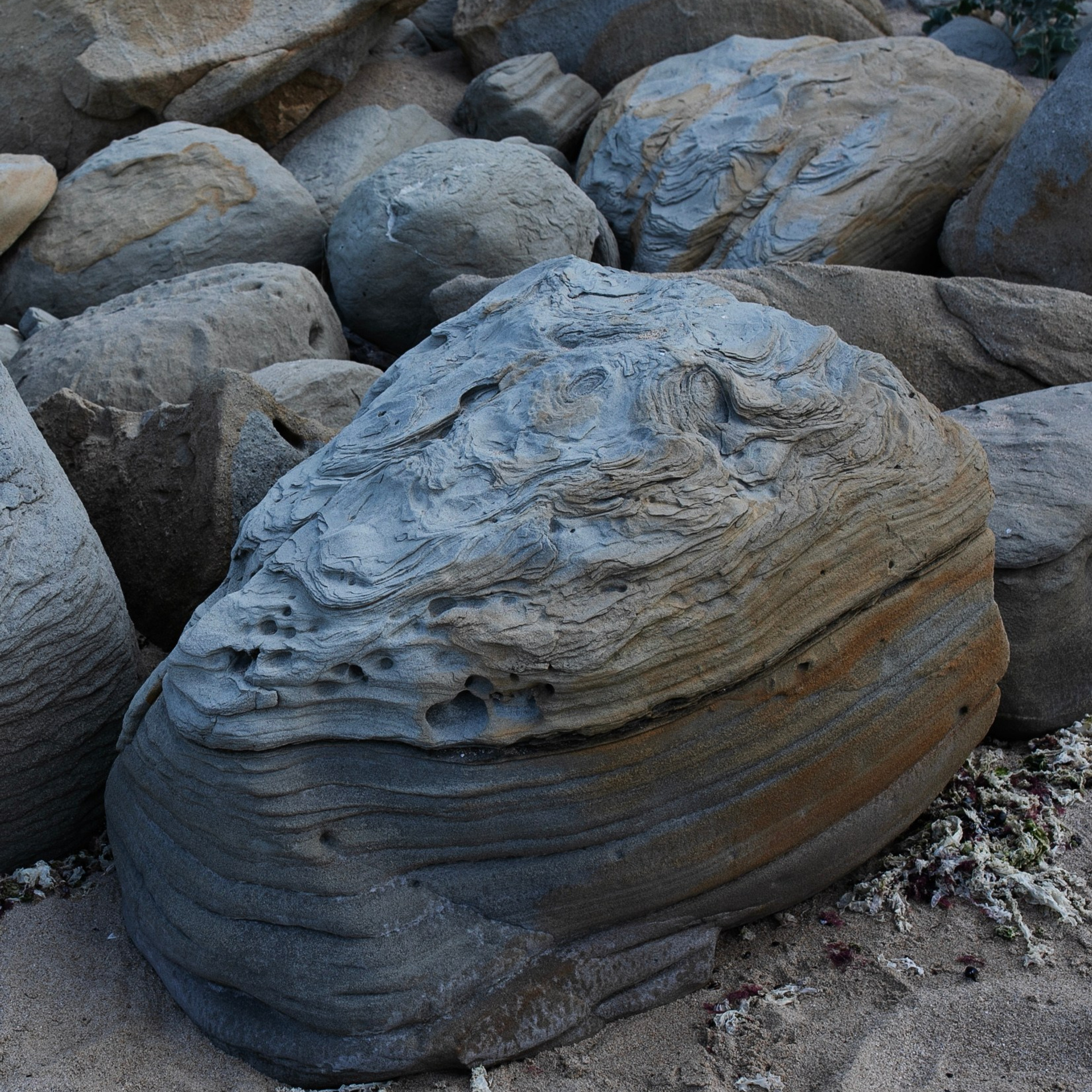 Болгария'24. Фотограф-портретист в Москве