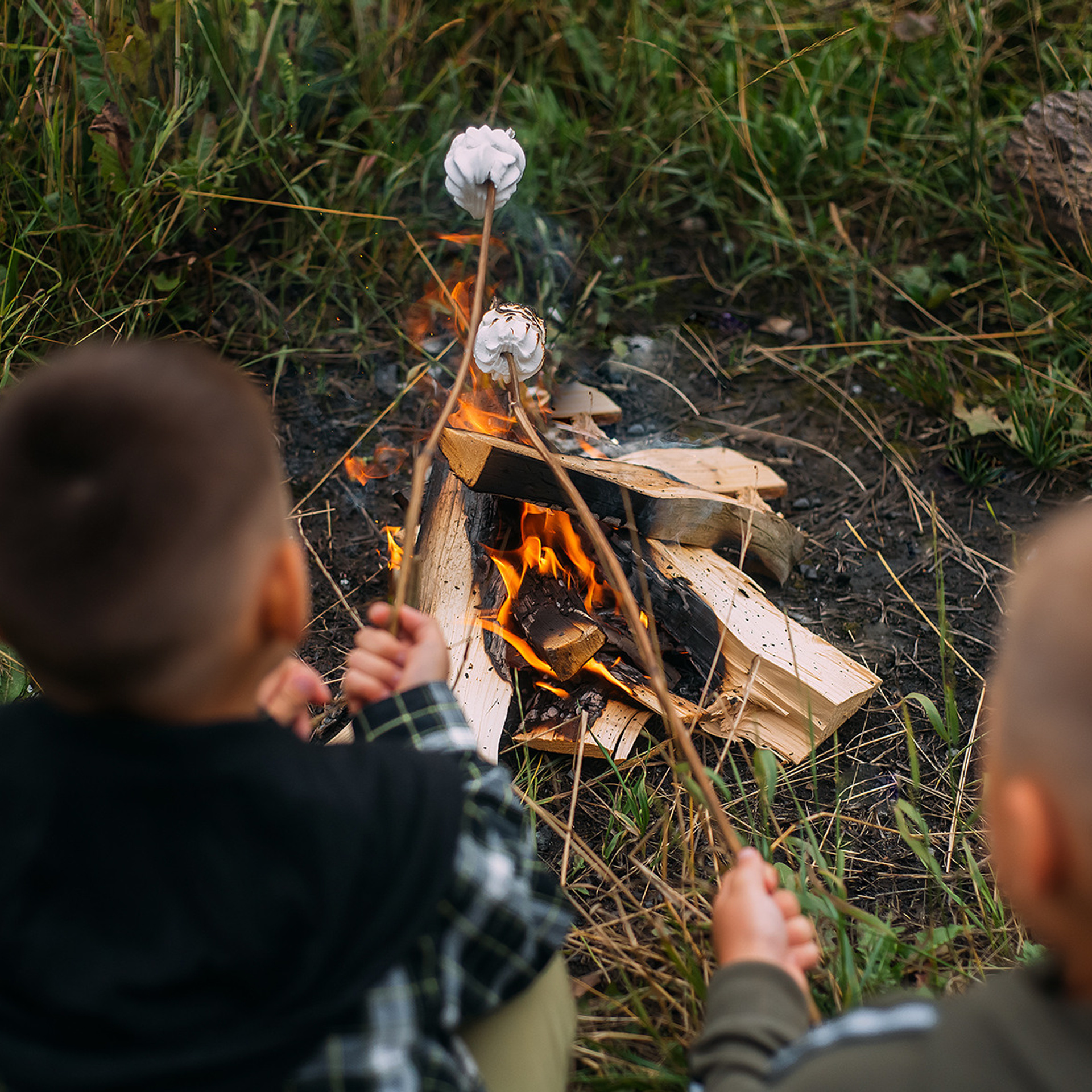 ПРОЕКТ «ШАЛАШ В ЛЕСУ»