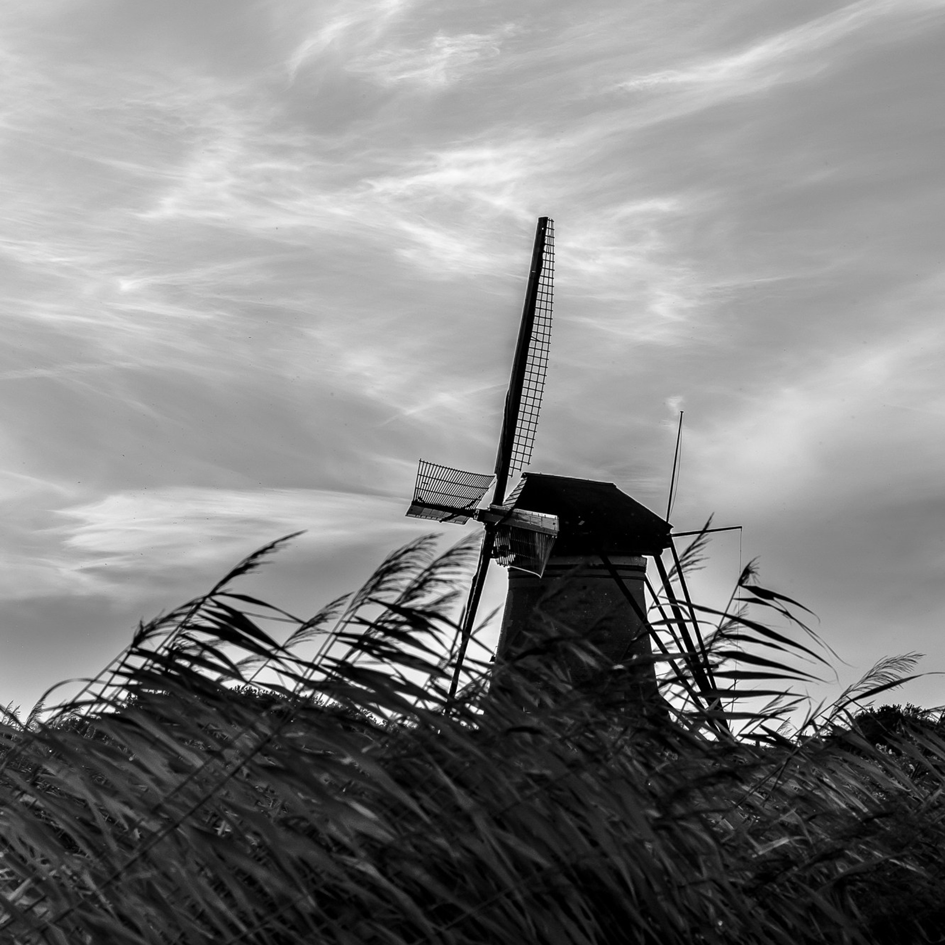 Стрит / Архитектура / Путешествия