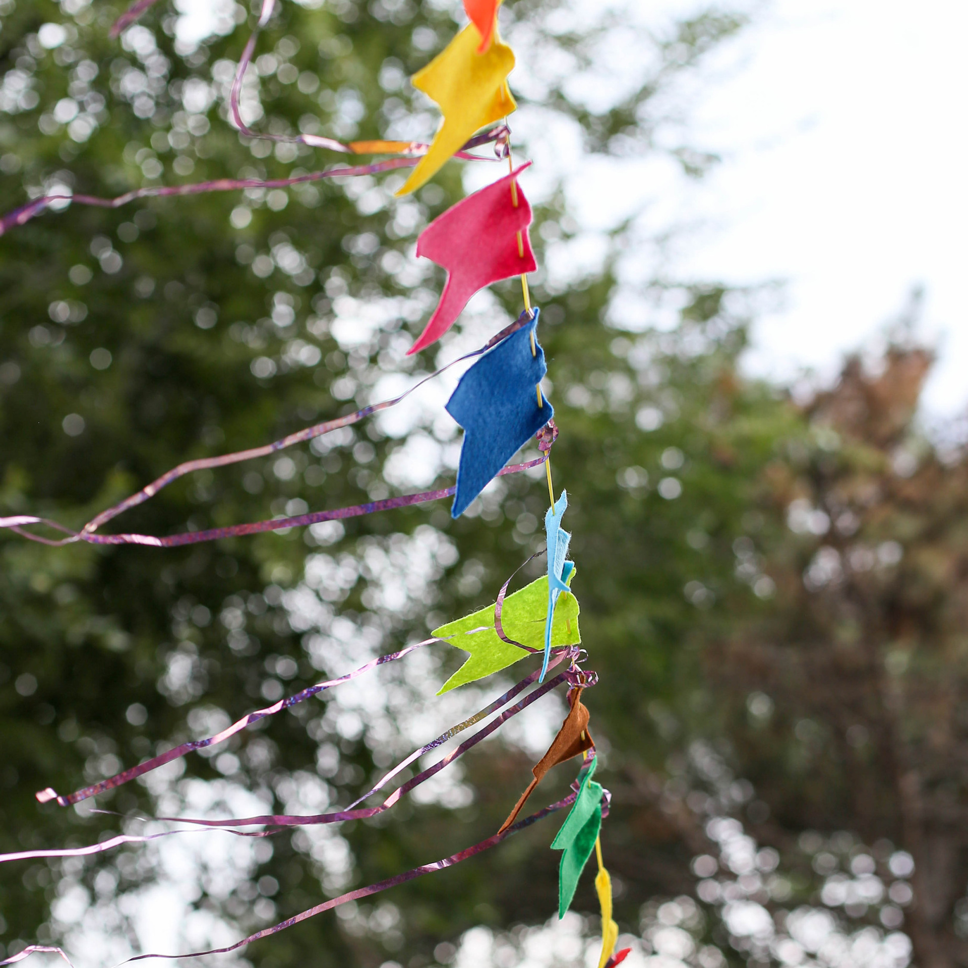 Отзывы. Семейный и детский фотограф в Симферополе и Севастополе
