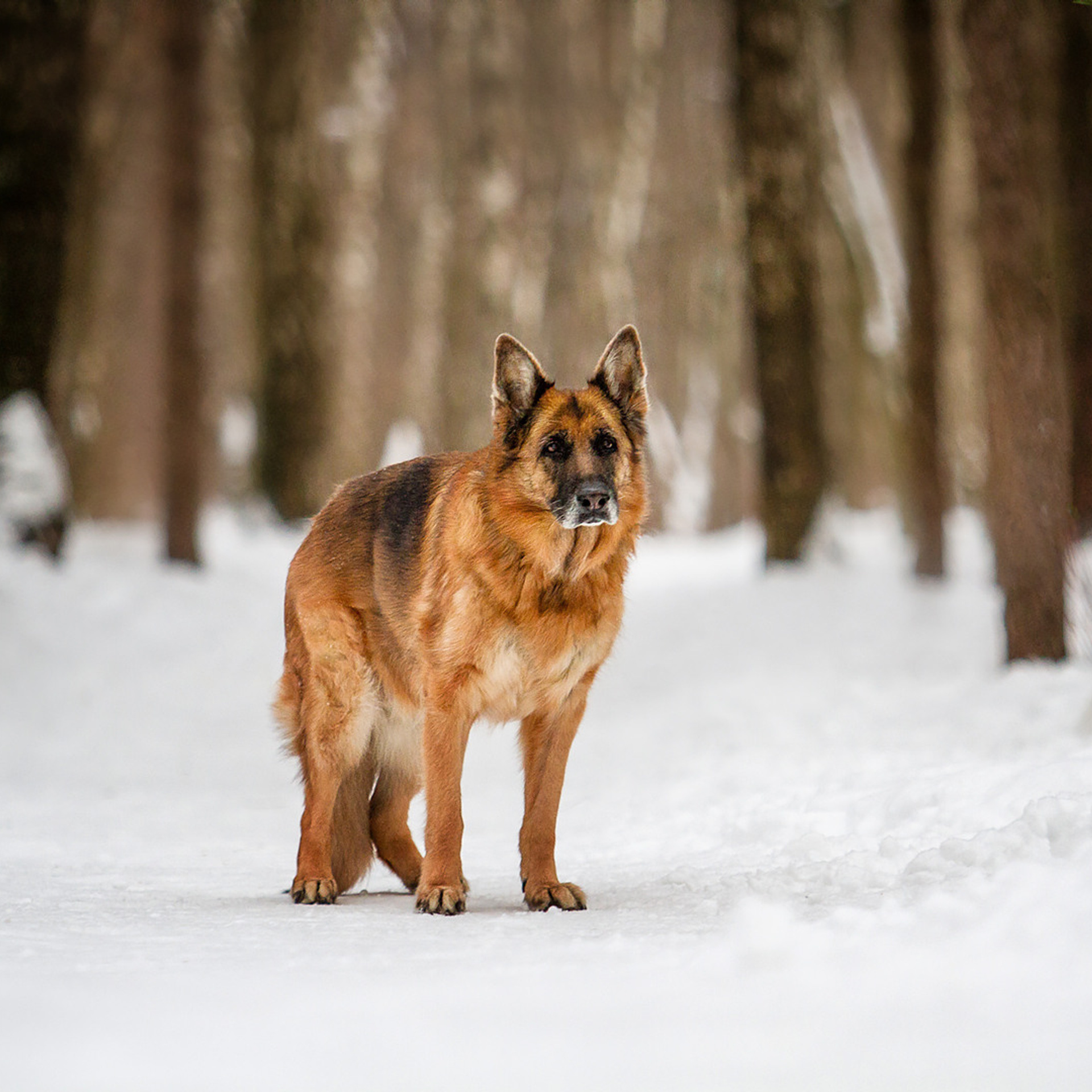 Отзывы. Фотограф Ирина Астор