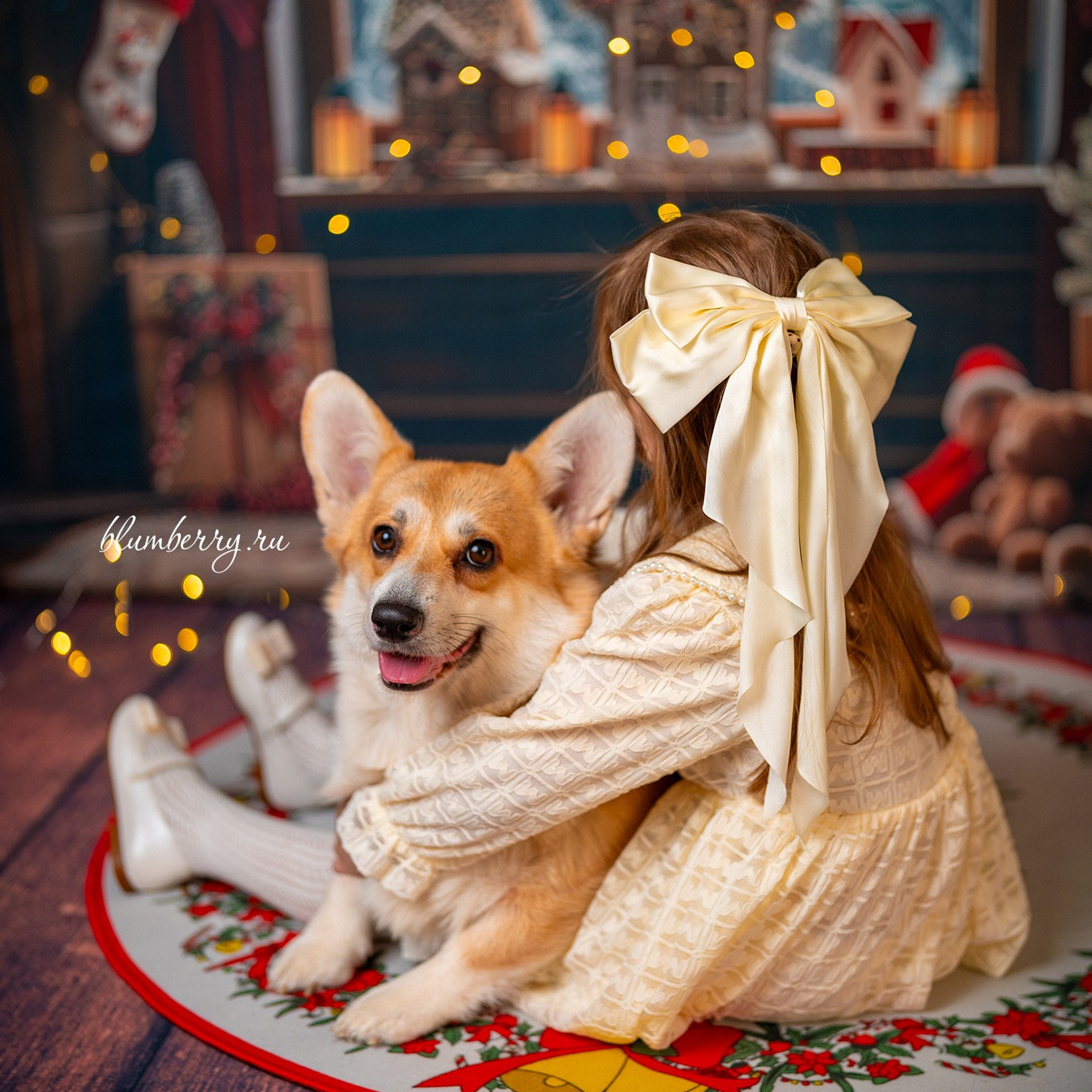 Новогодняя комната с корги. Детский и семейный фотограф в Краснодаре Анастасия Blumberry