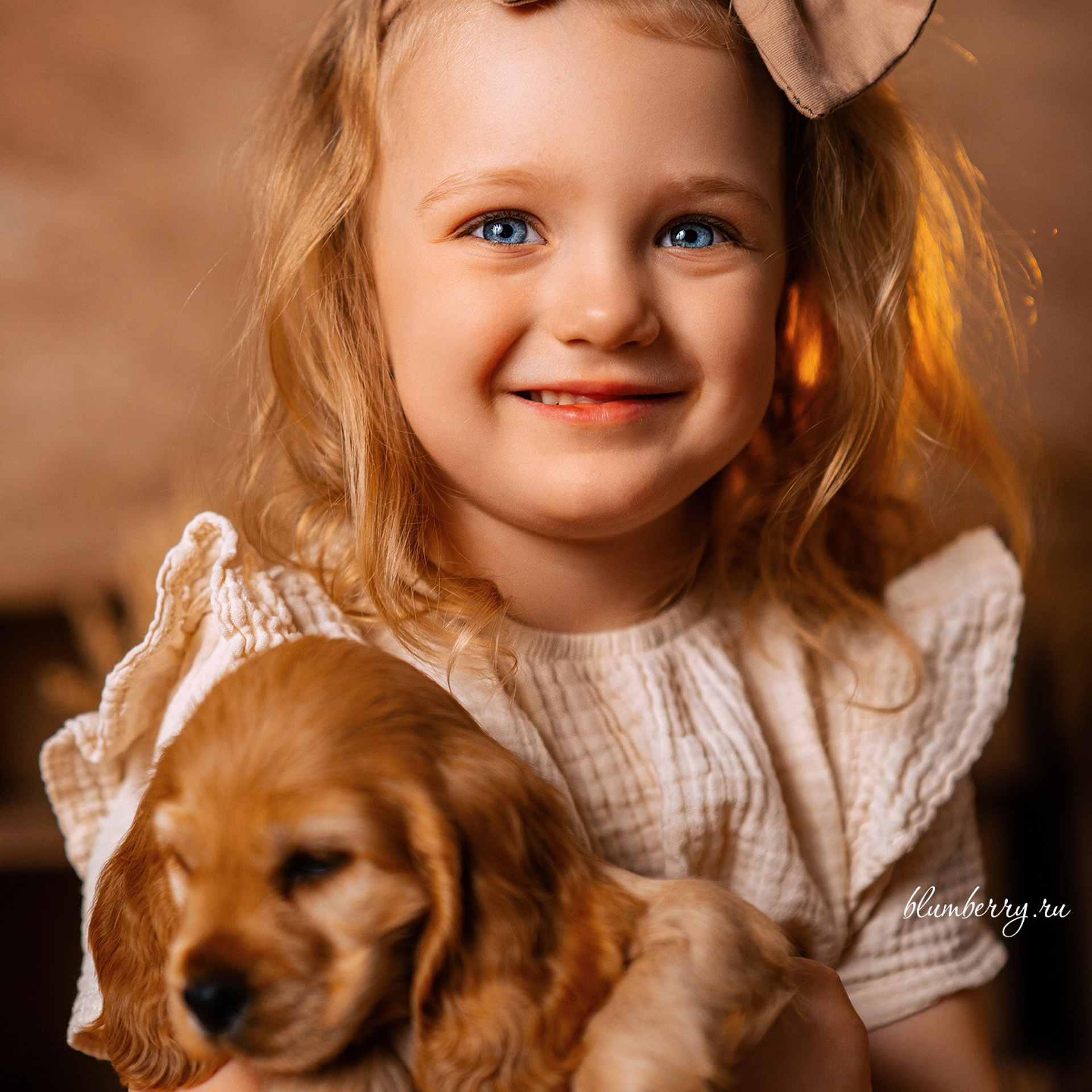 Щенки спаниеля. Детский и семейный фотограф в Краснодаре Анастасия Blumberry