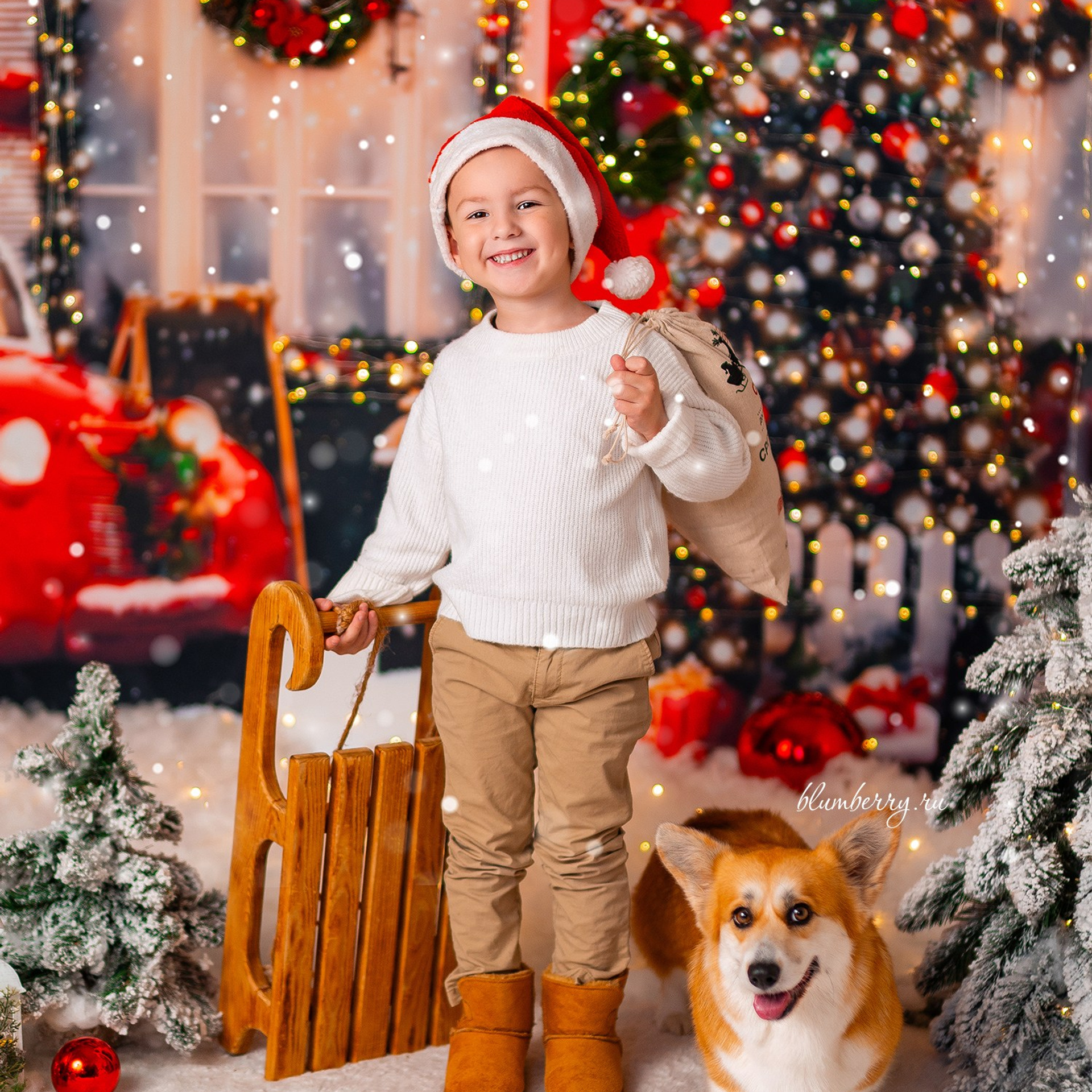 Новогодняя с корги. Детский и семейный фотограф в Краснодаре Анастасия Blumberry