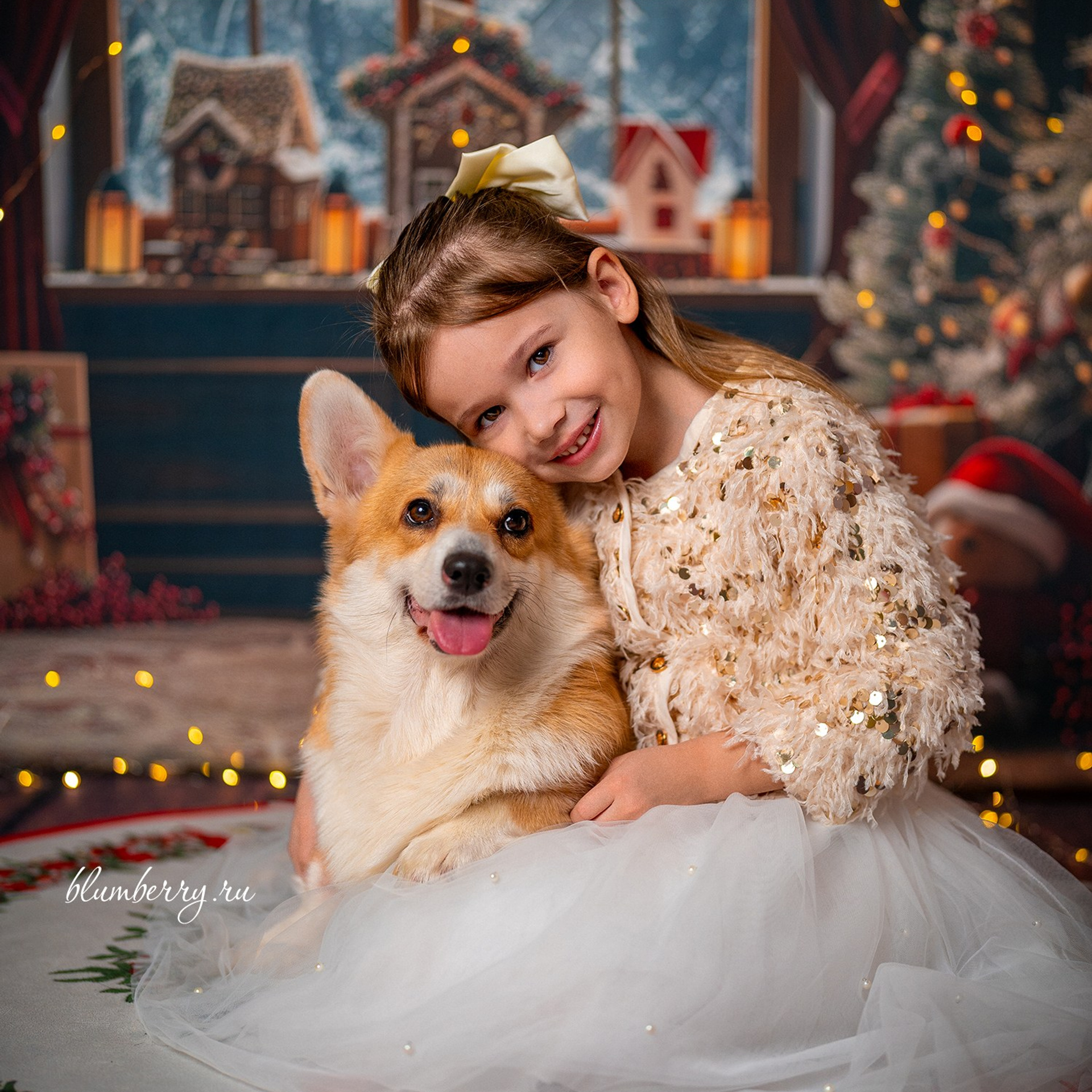 Новогодняя комната с корги. Детский и семейный фотограф в Краснодаре Анастасия Blumberry