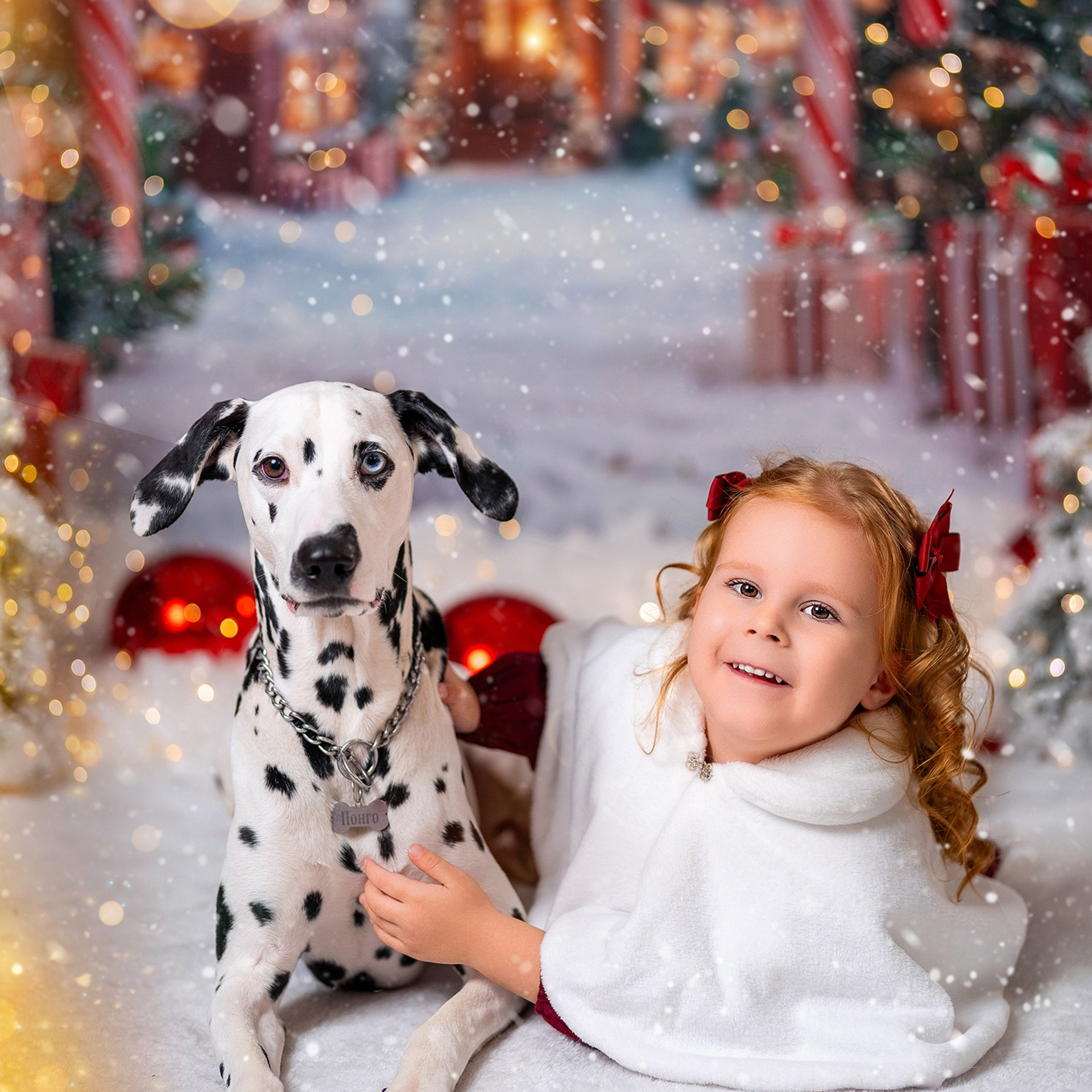 Далматин. Детский и семейный фотограф в Краснодаре Анастасия Blumberry