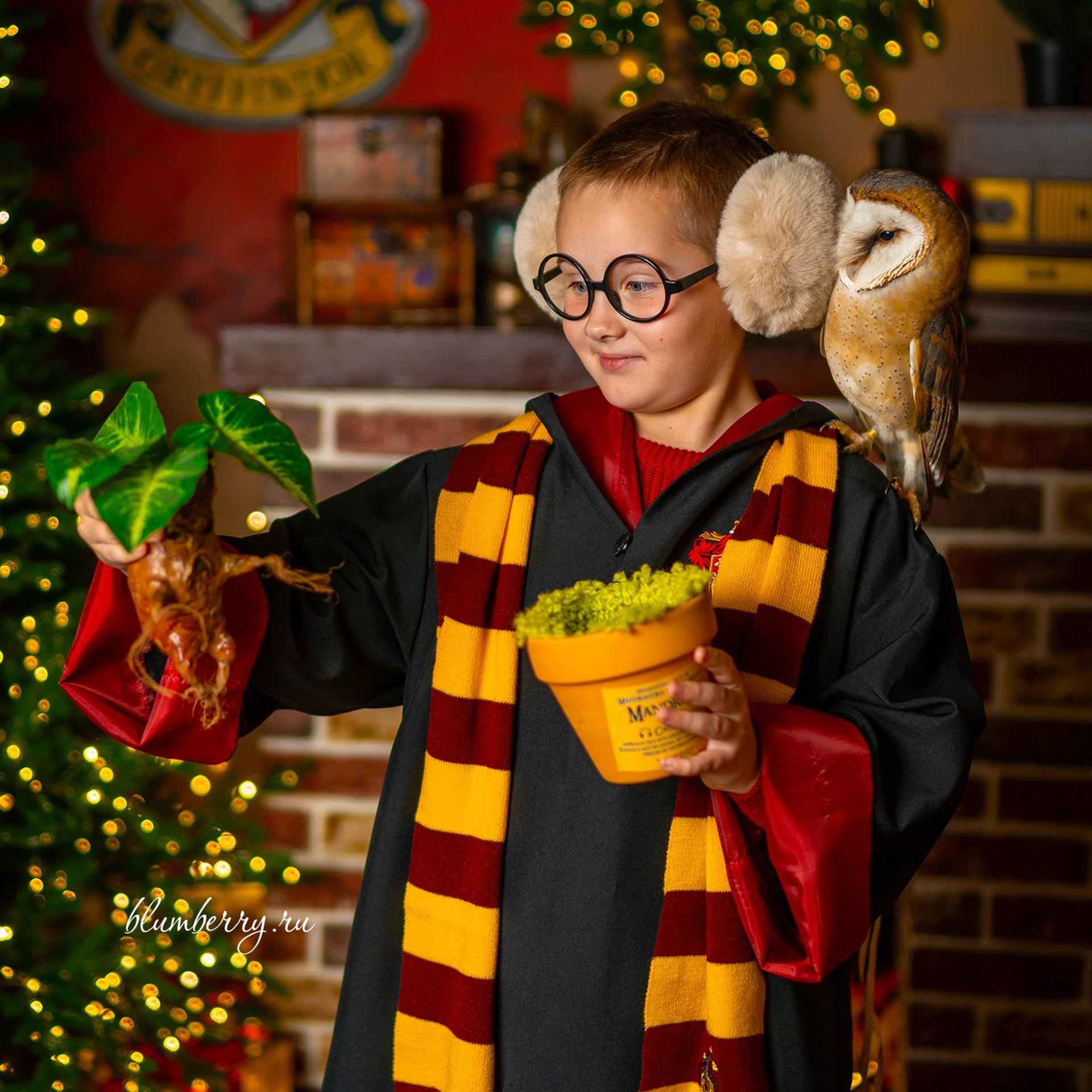 Хогвартс. Детский и семейный фотограф в Краснодаре Анастасия Blumberry