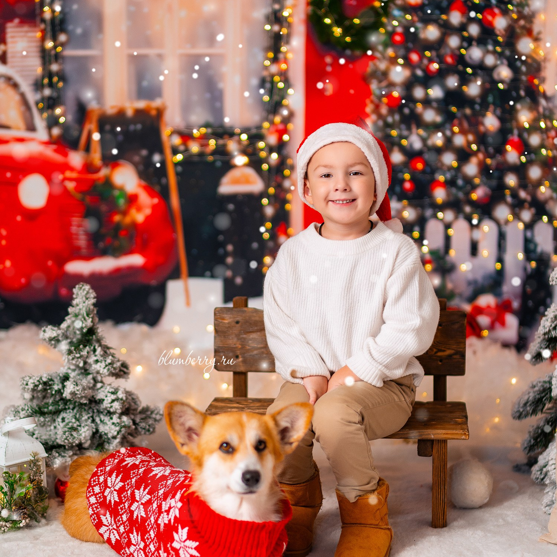 Новогодняя с корги. Детский и семейный фотограф в Краснодаре Анастасия Blumberry