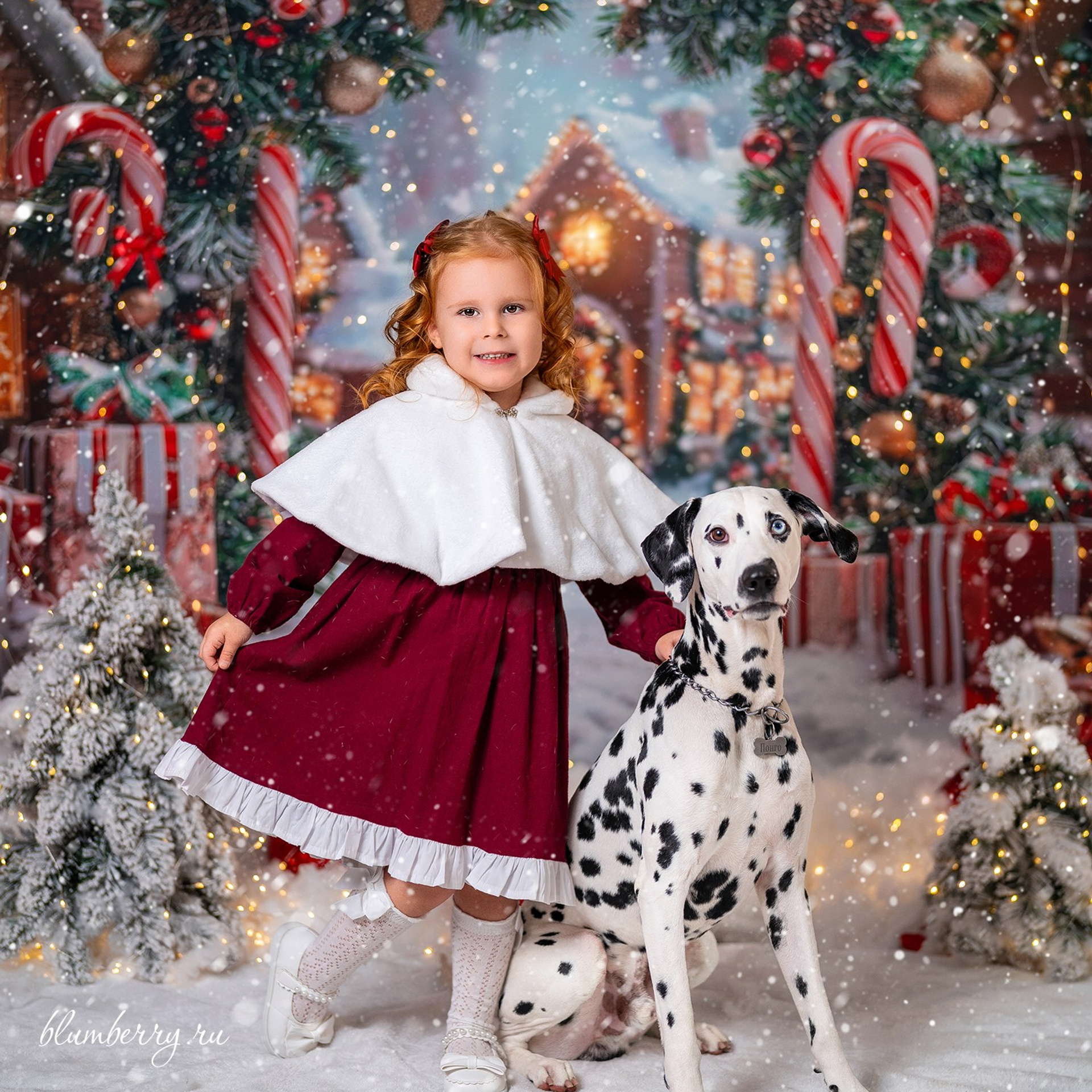 Далматин. Детский и семейный фотограф в Краснодаре Анастасия Blumberry