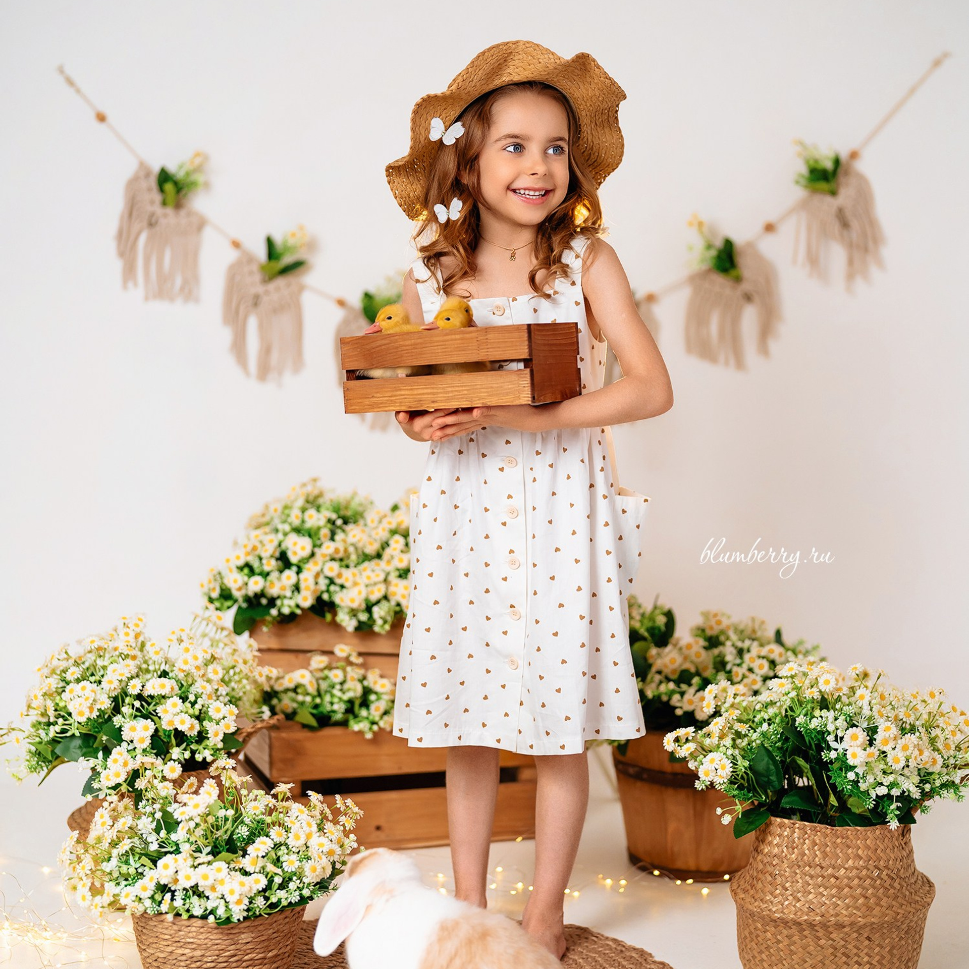 Ромашки с утятами. Детский и семейный фотограф в Краснодаре Анастасия Blumberry
