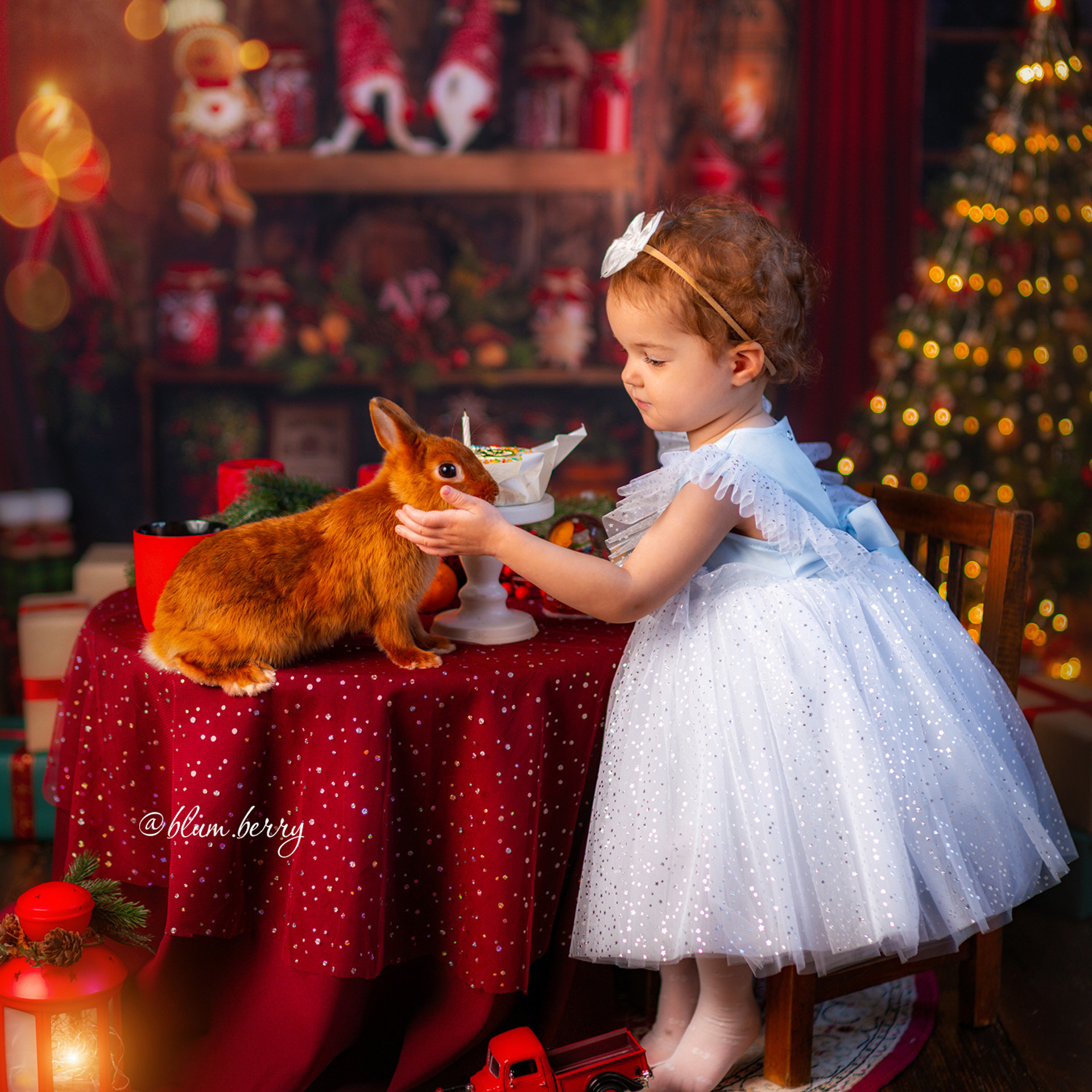 Отзывы. Детский и семейный фотограф в Краснодаре Анастасия Blumberry