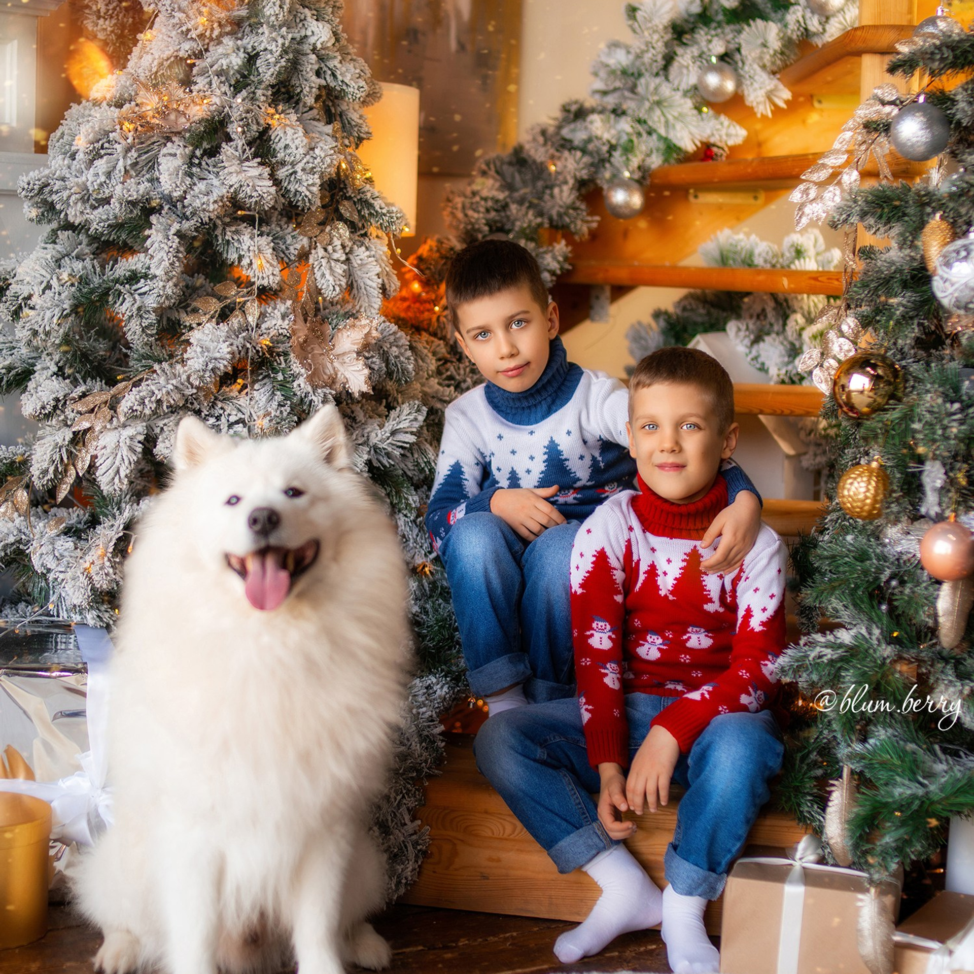 Новогодняя с самоедом и кроликом. Детский и семейный фотограф в Краснодаре Анастасия Blumberry