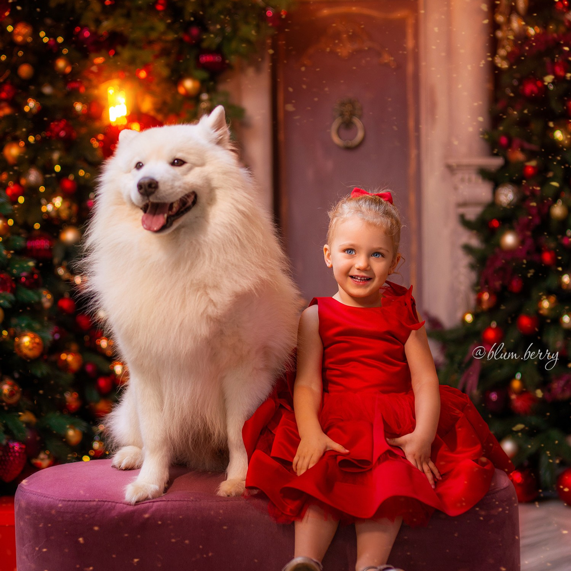Новогодняя с самоедом и кроликом. Детский и семейный фотограф в Краснодаре Анастасия Blumberry