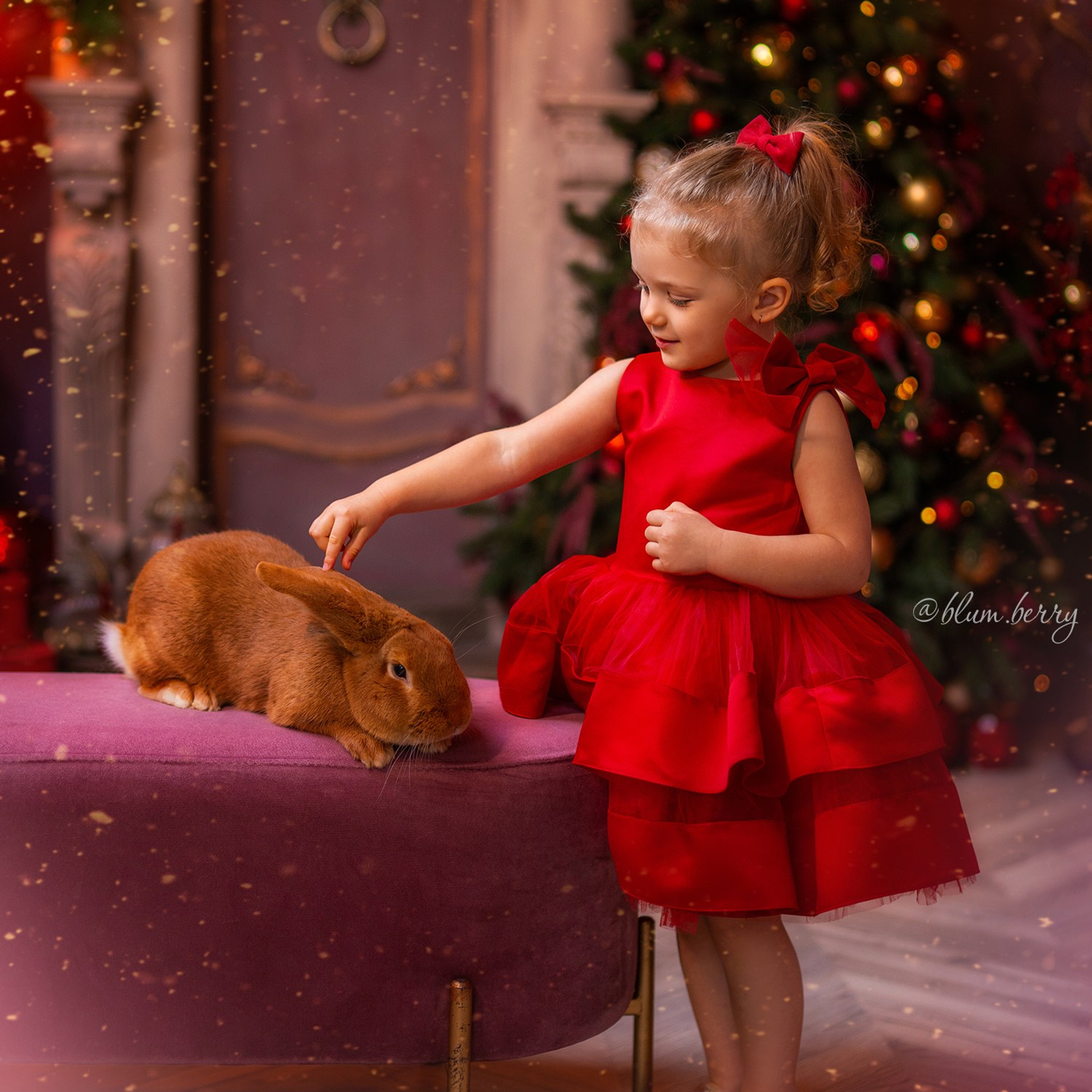 Новогодняя с самоедом и кроликом. Детский и семейный фотограф в Краснодаре Анастасия Blumberry