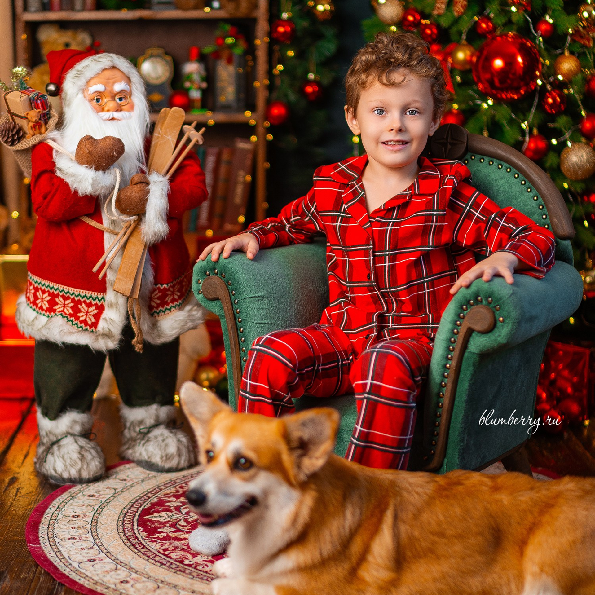 Новогодняя с корги. Детский и семейный фотограф в Краснодаре Анастасия Blumberry
