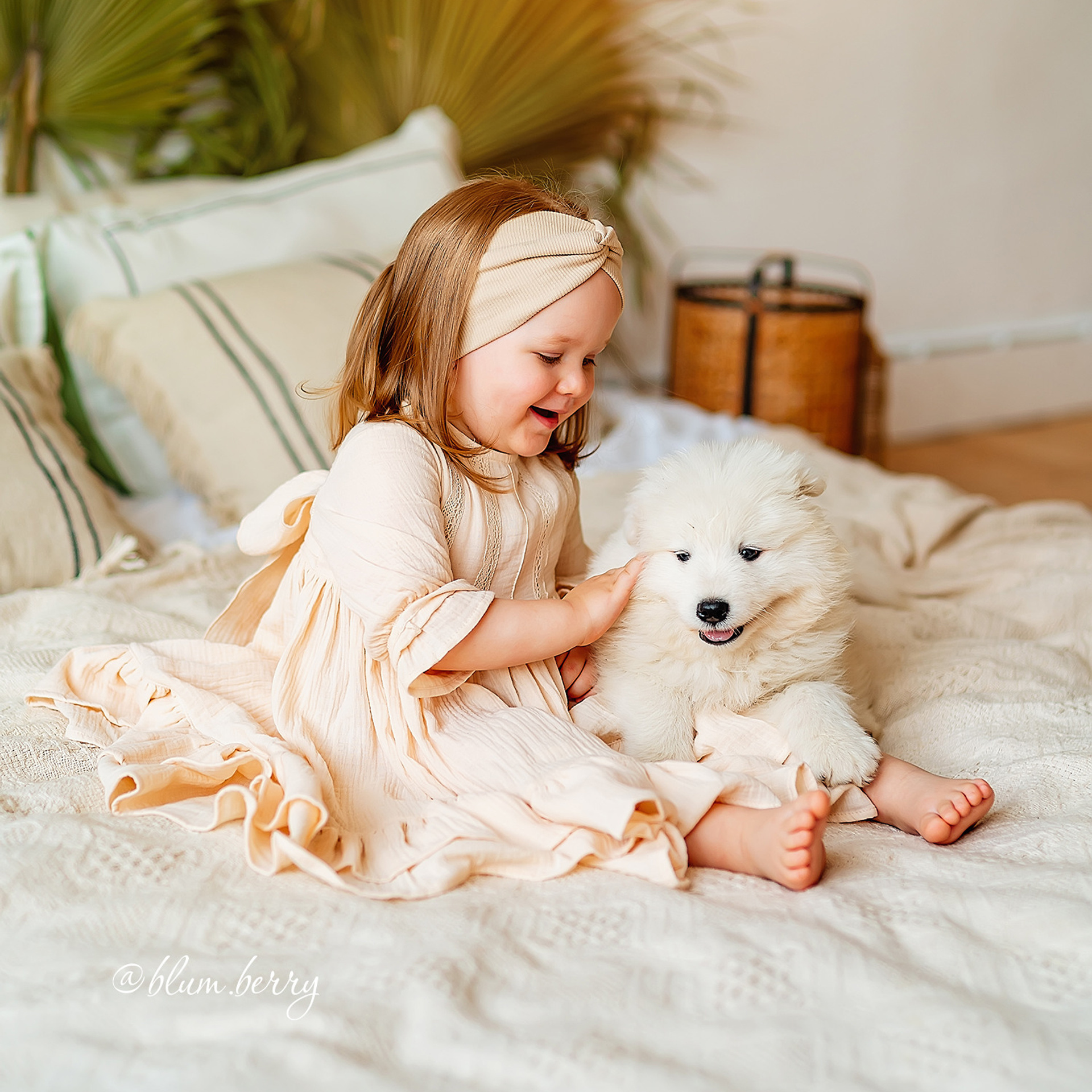 Щенки самоеда. Детский и семейный фотограф в Краснодаре Анастасия Blumberry