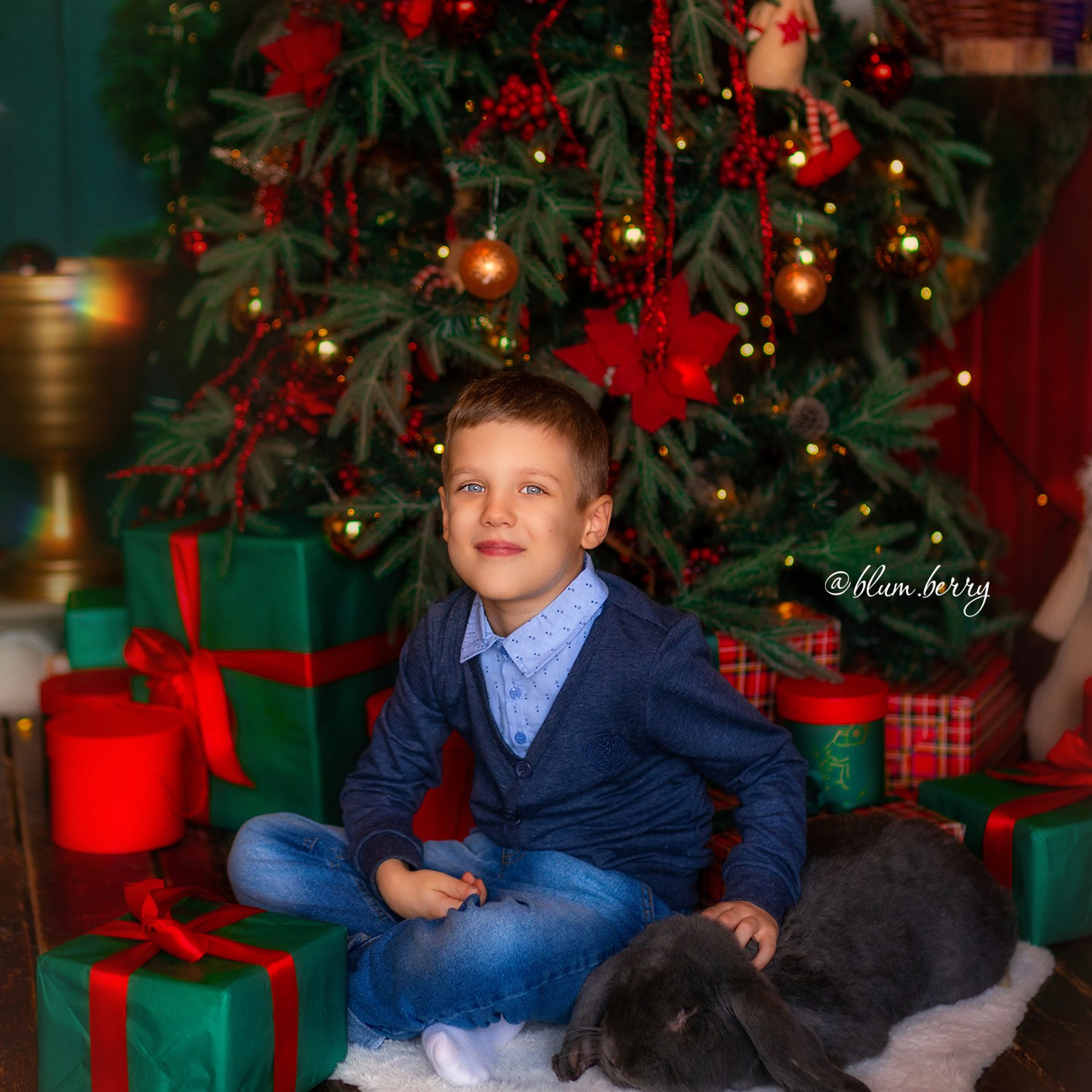 Новогодняя с самоедом и кроликом. Детский и семейный фотограф в Краснодаре Анастасия Blumberry