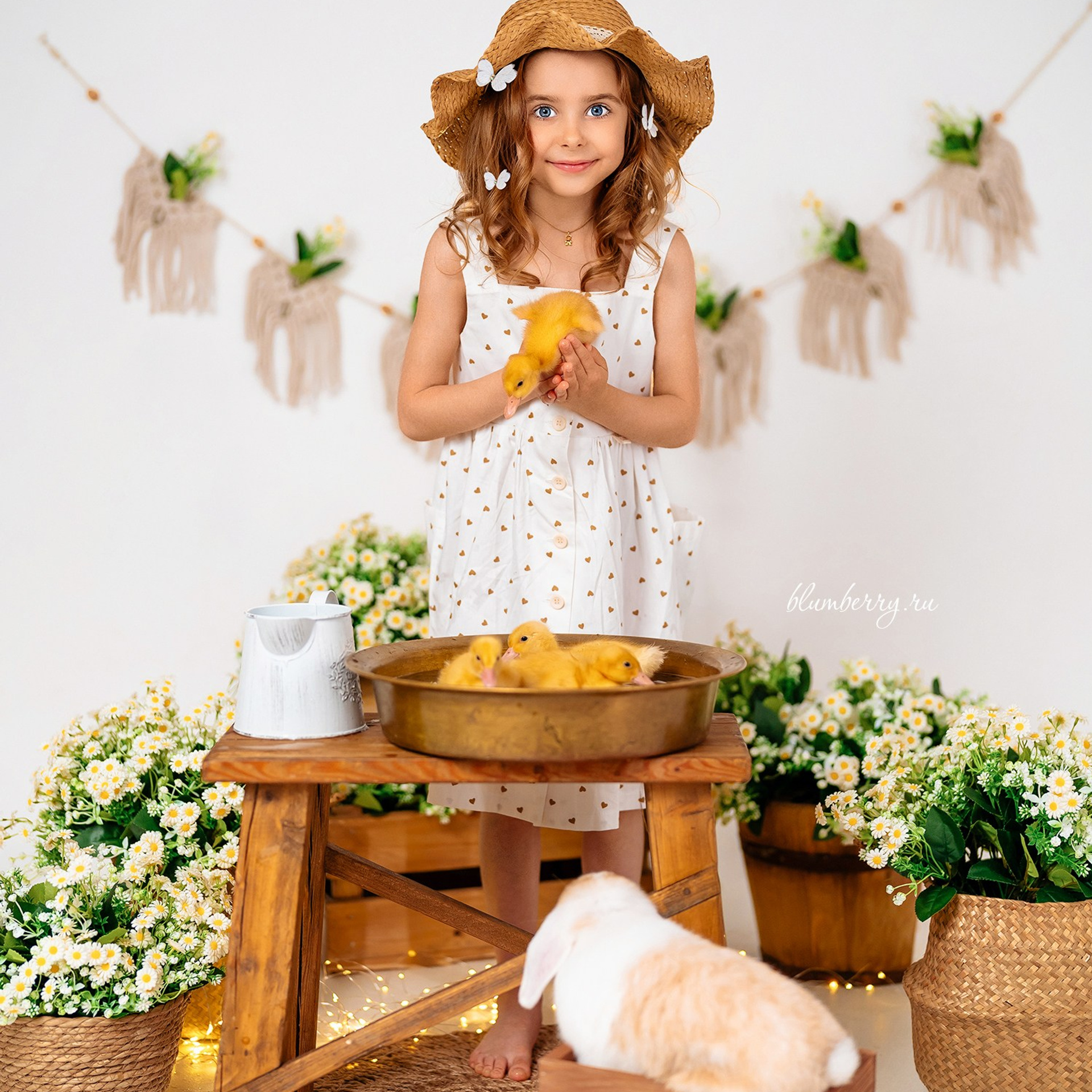 Ромашки с утятами. Детский и семейный фотограф в Краснодаре Анастасия Blumberry