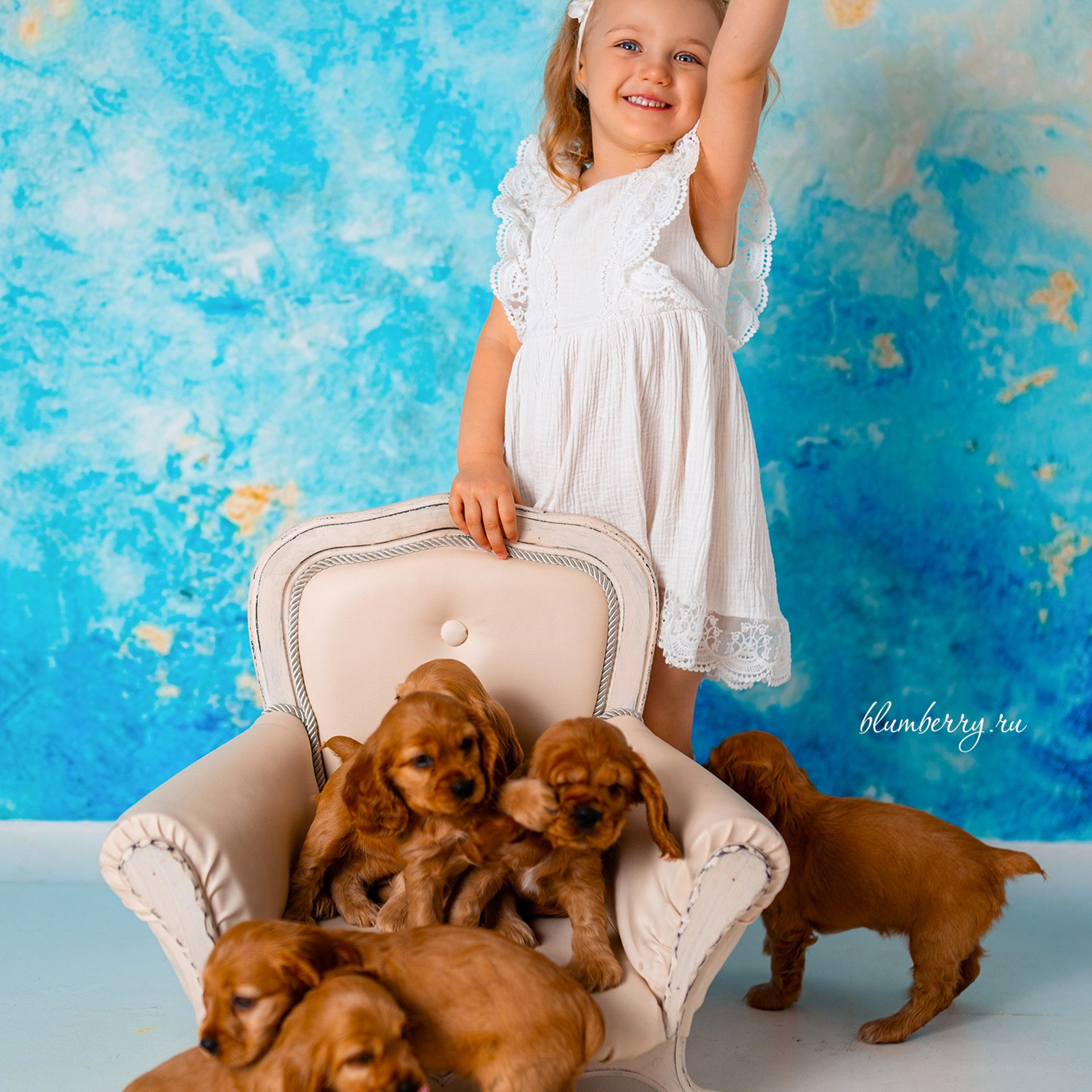 Щенки спаниеля. Детский и семейный фотограф в Краснодаре Анастасия Blumberry
