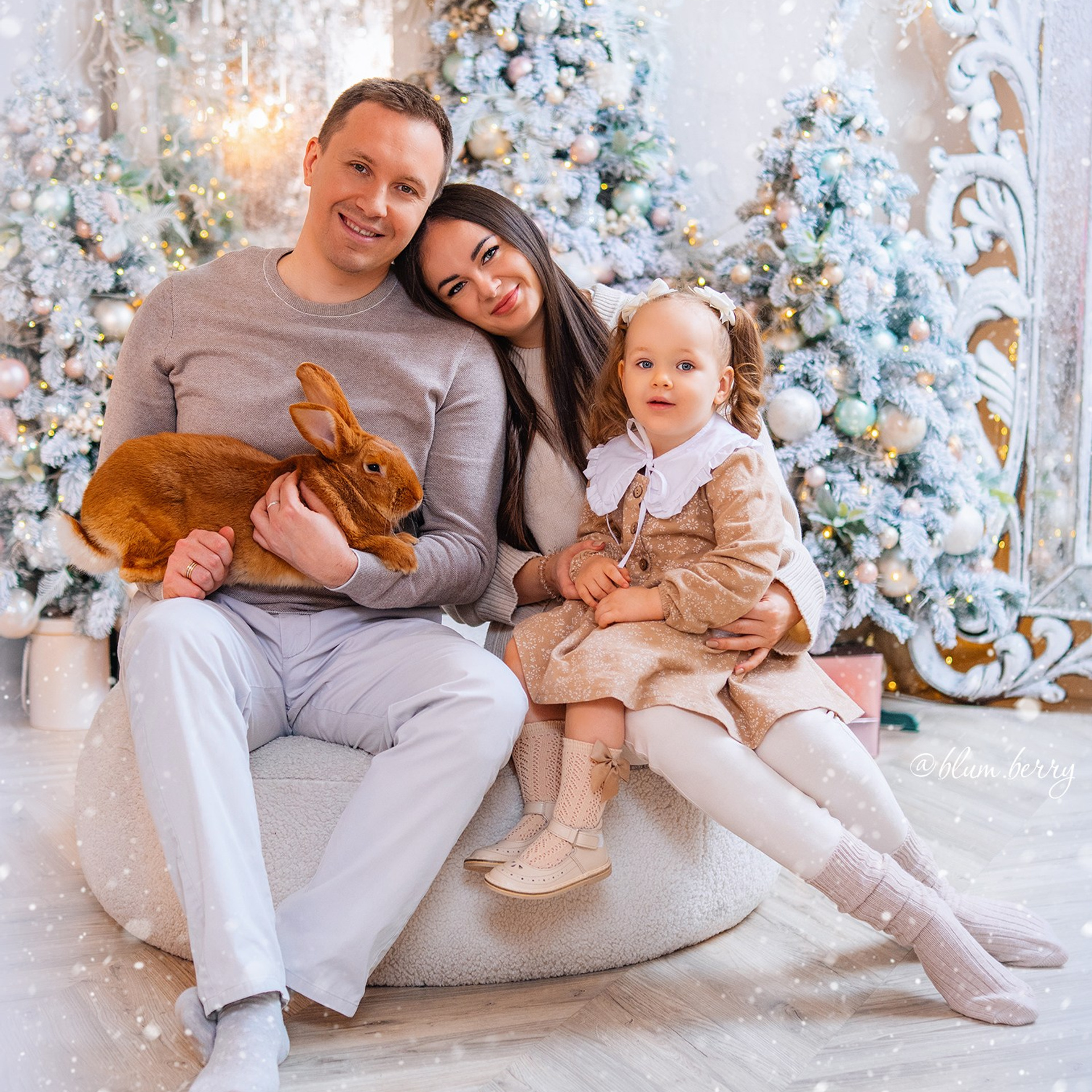 Новогодняя с самоедом и кроликом. Детский и семейный фотограф в Краснодаре Анастасия Blumberry