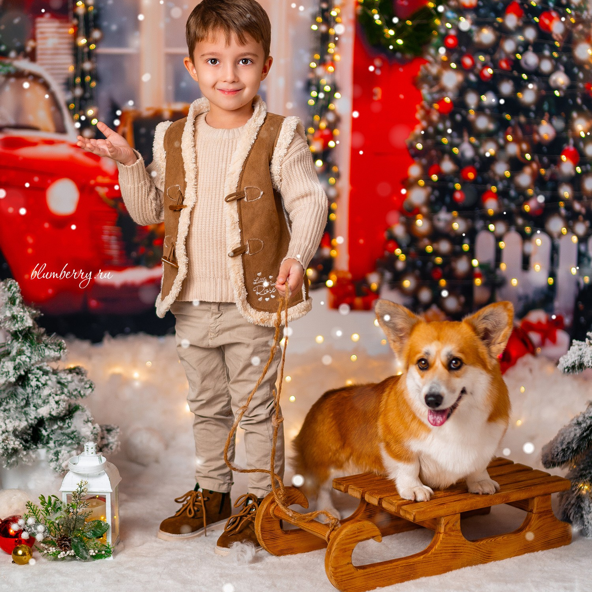 Новогодняя с корги. Детский и семейный фотограф в Краснодаре Анастасия Blumberry