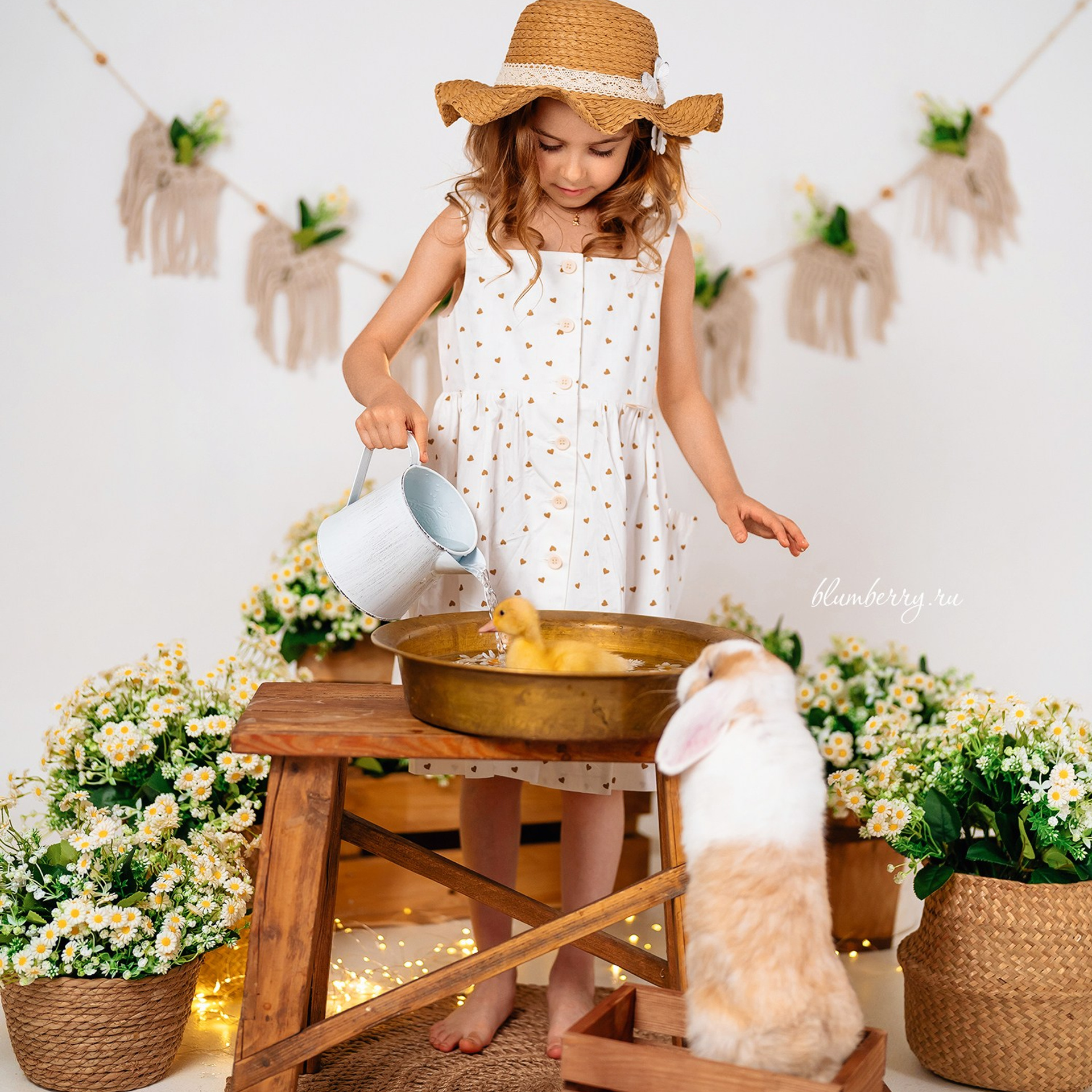 Ромашки с утятами. Детский и семейный фотограф в Краснодаре Анастасия Blumberry